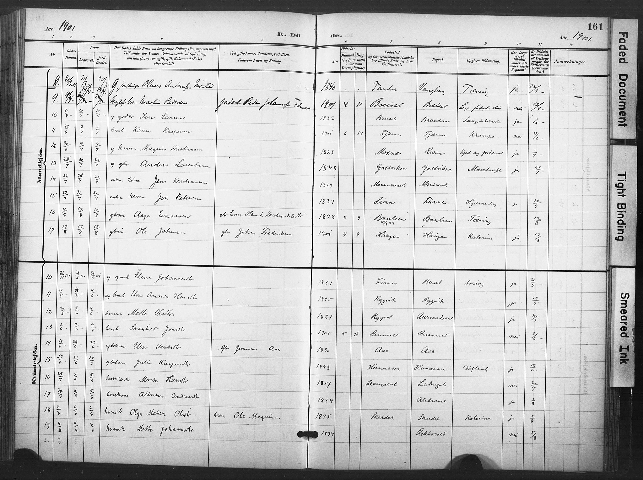 Ministerialprotokoller, klokkerbøker og fødselsregistre - Nord-Trøndelag, AV/SAT-A-1458/713/L0122: Parish register (official) no. 713A11, 1899-1910, p. 161
