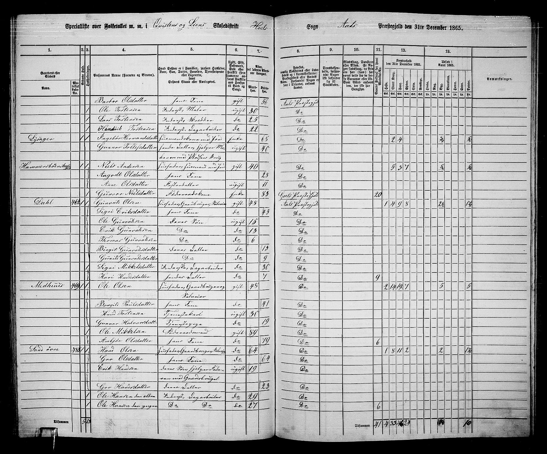 RA, 1865 census for Ål, 1865, p. 229