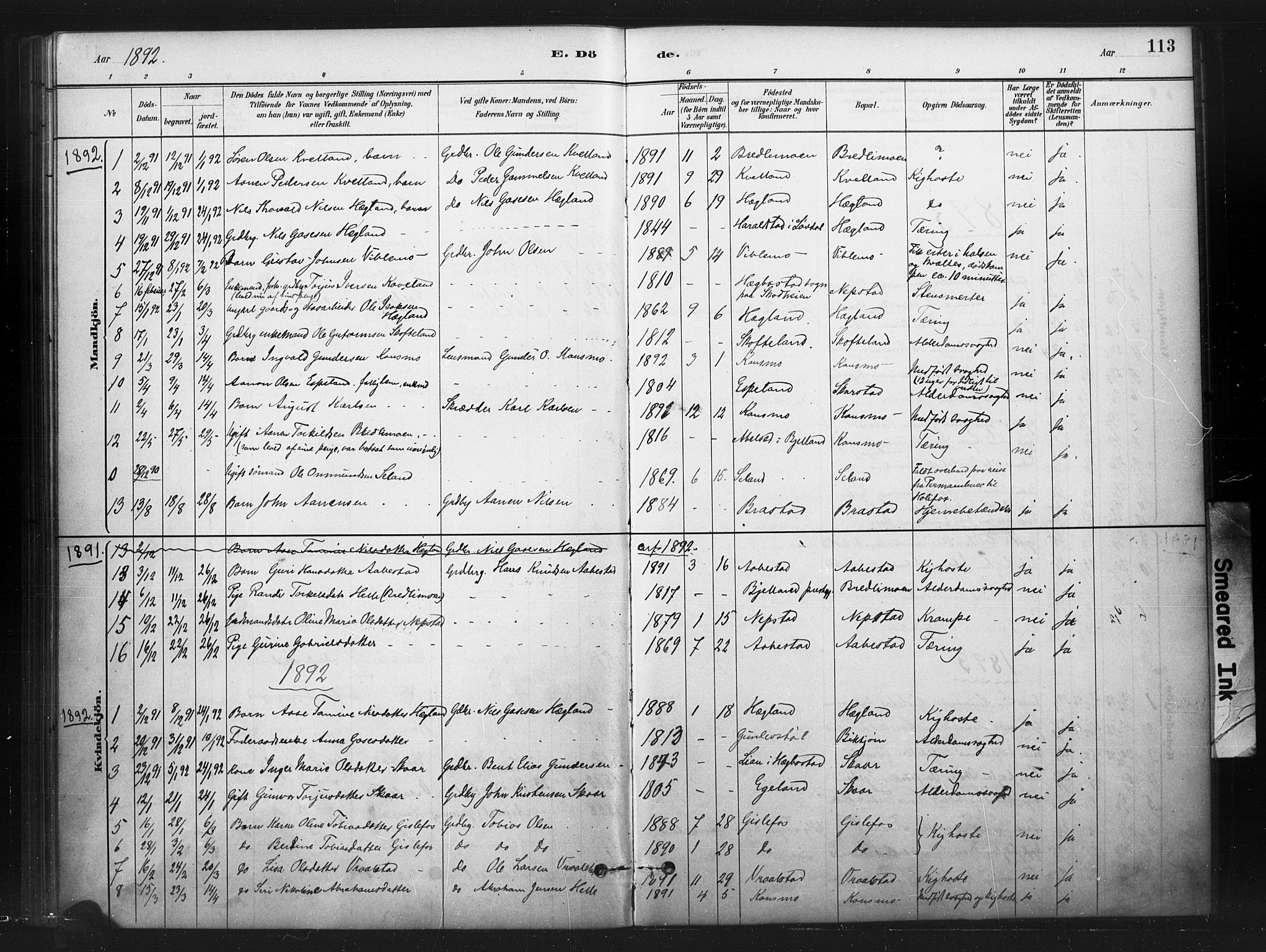 Nord-Audnedal sokneprestkontor, SAK/1111-0032/F/Fa/Faa/L0003: Parish register (official) no. A 3, 1882-1900, p. 113