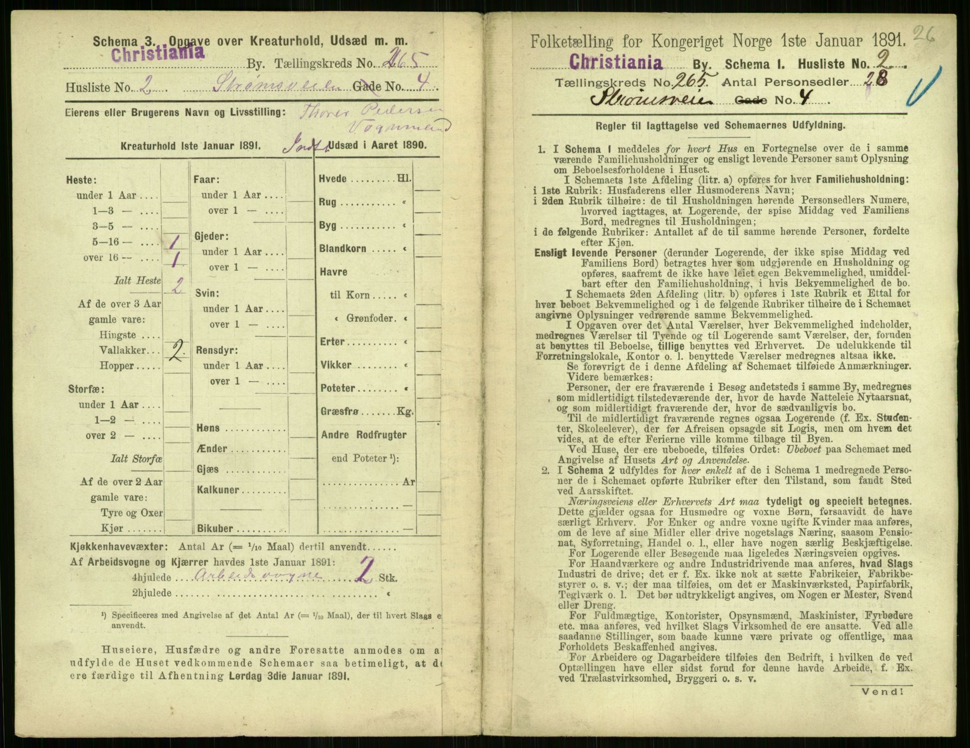 RA, 1891 census for 0301 Kristiania, 1891, p. 160907