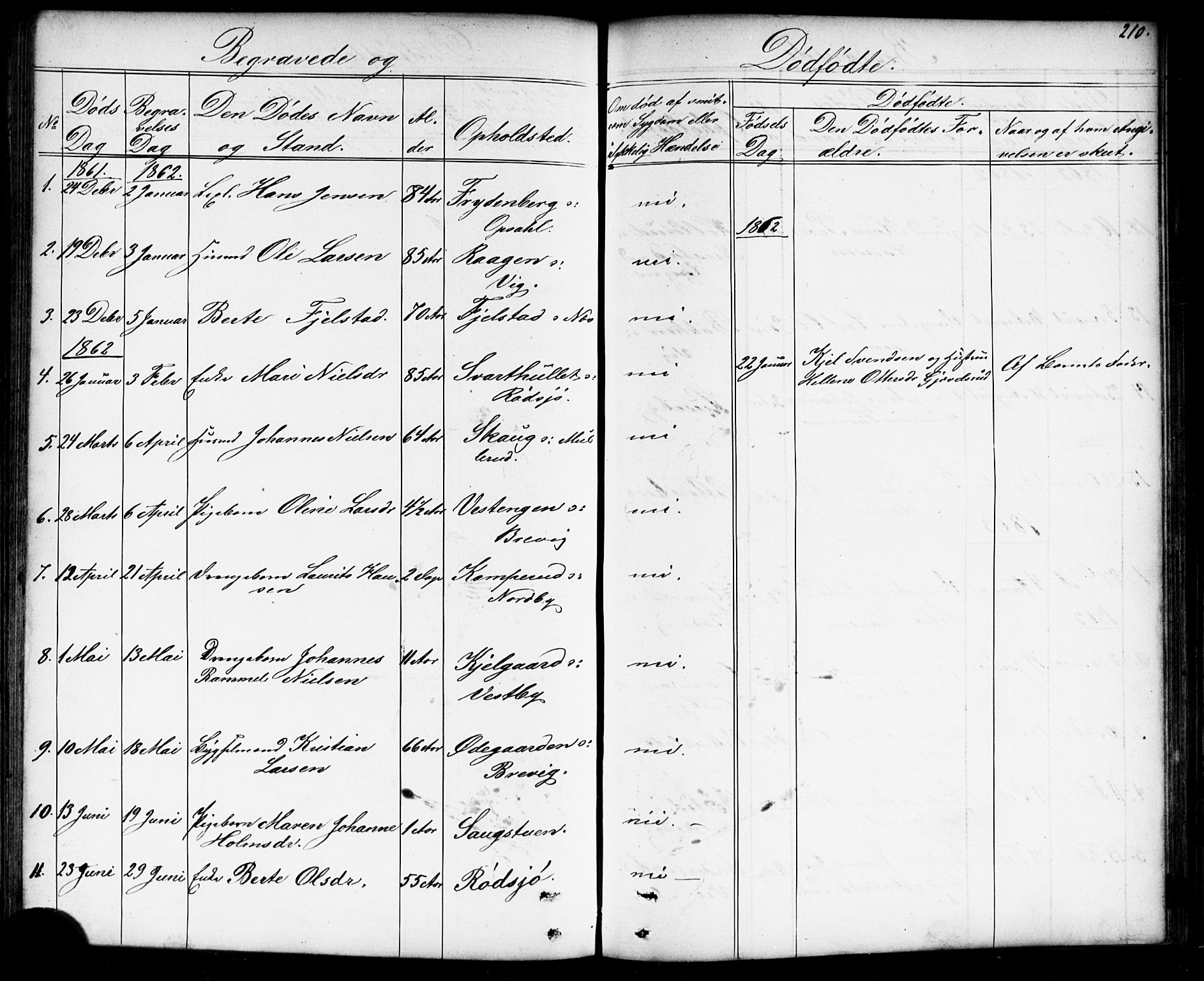 Enebakk prestekontor Kirkebøker, SAO/A-10171c/G/Gb/L0001: Parish register (copy) no. II 1, 1859-1890, p. 210