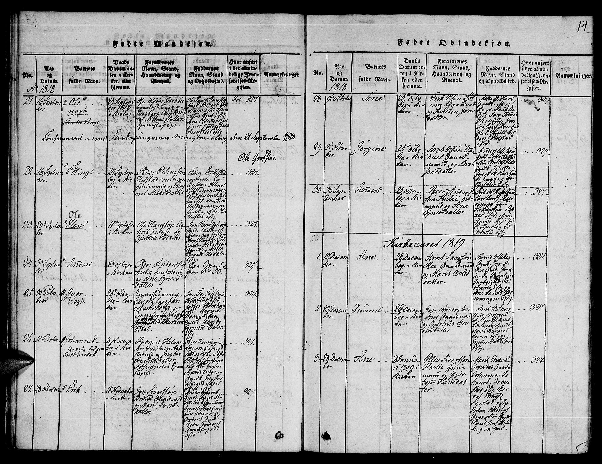 Ministerialprotokoller, klokkerbøker og fødselsregistre - Sør-Trøndelag, SAT/A-1456/672/L0853: Parish register (official) no. 672A06 /1, 1816-1829, p. 14