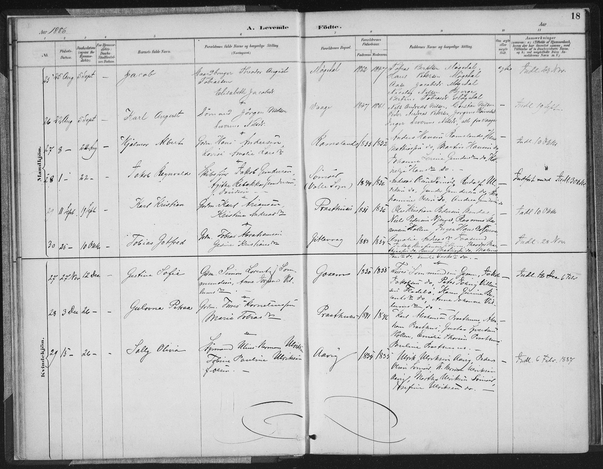 Sør-Audnedal sokneprestkontor, AV/SAK-1111-0039/F/Fa/Faa/L0004: Parish register (official) no. A 4, 1884-1909, p. 18