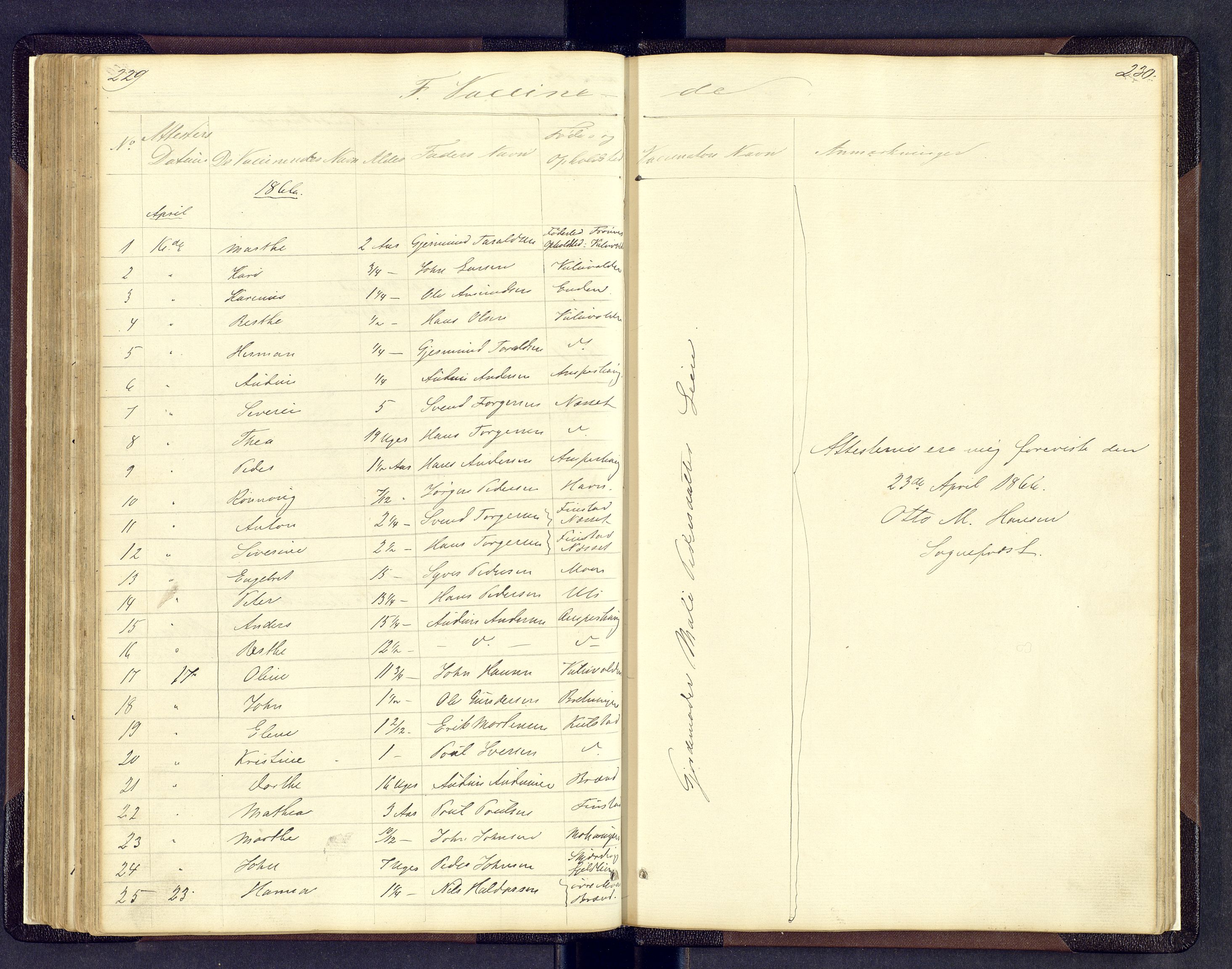 Sollia prestekontor, SAH/PREST-050/H/Ha/Hab/L0001: Parish register (copy) no. 1, 1862-1879, p. 229-230