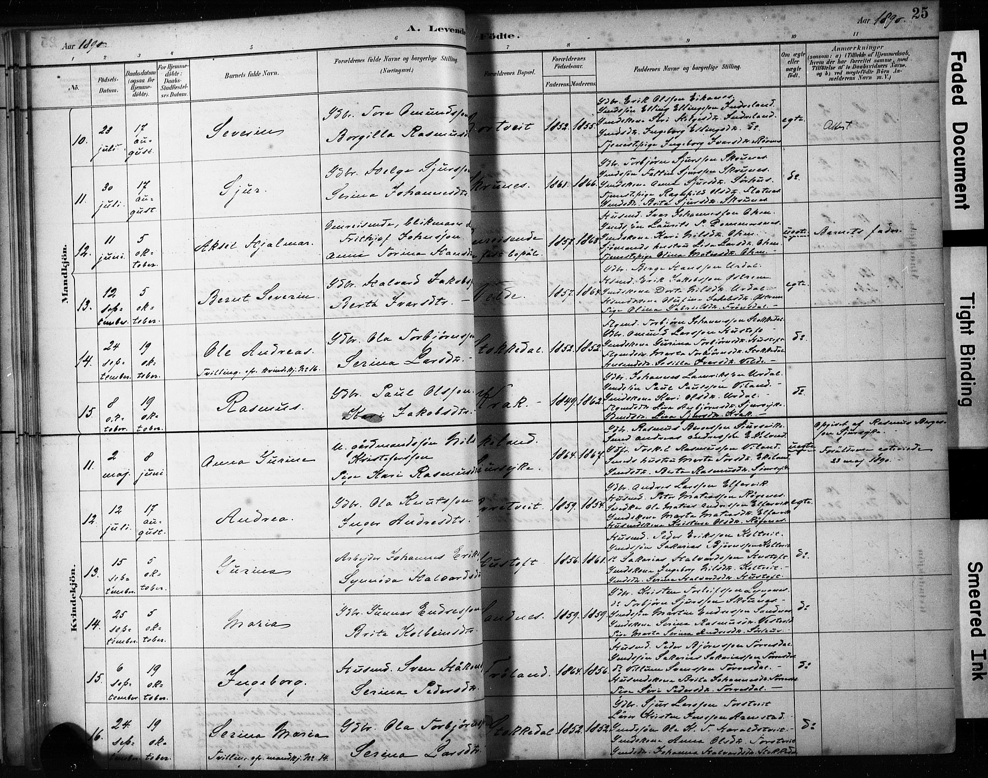 Skjold sokneprestkontor, AV/SAST-A-101847/H/Ha/Haa/L0009: Parish register (official) no. A 9, 1882-1898, p. 25