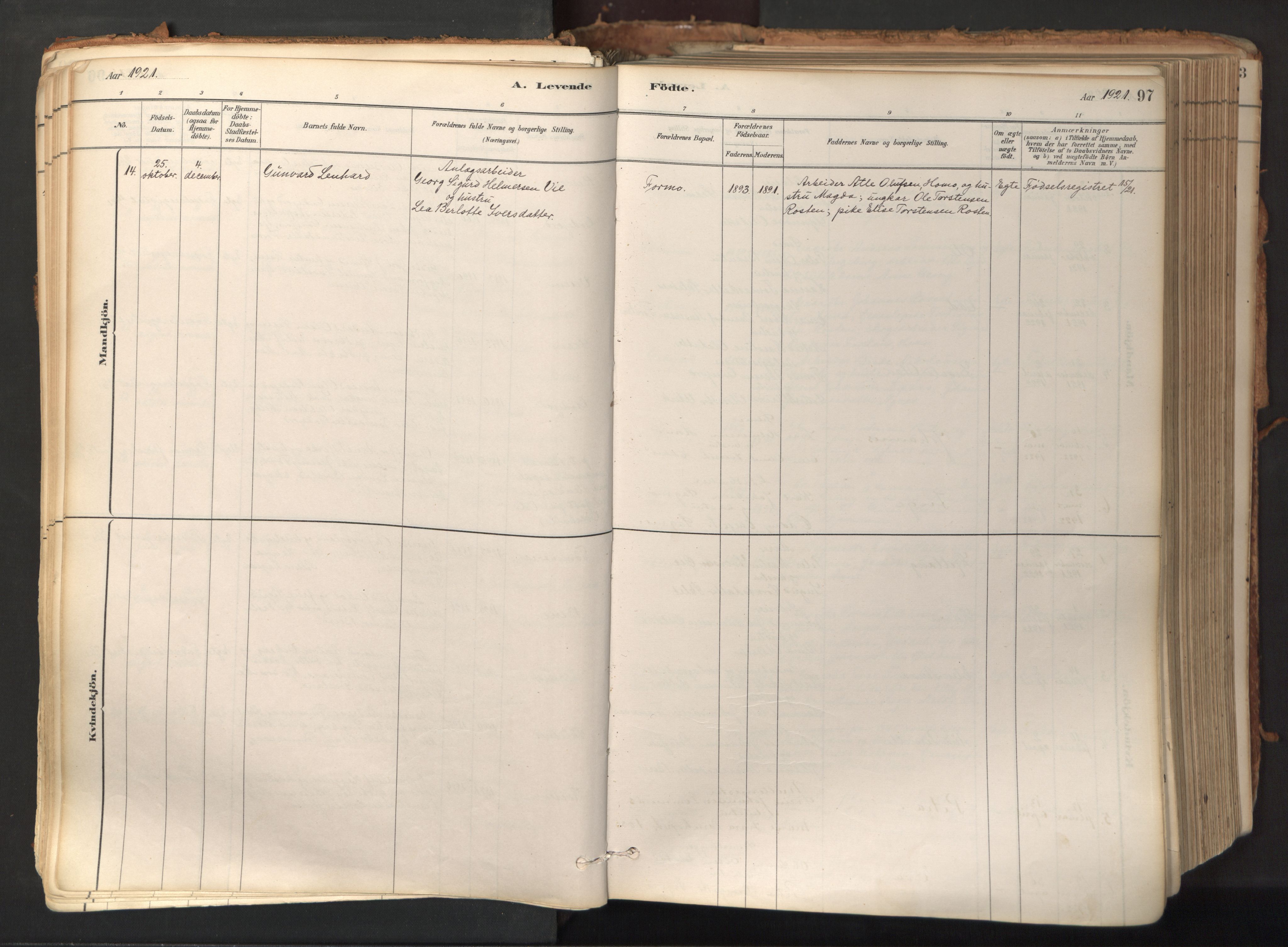 Ministerialprotokoller, klokkerbøker og fødselsregistre - Nord-Trøndelag, AV/SAT-A-1458/758/L0519: Parish register (official) no. 758A04, 1880-1926, p. 97