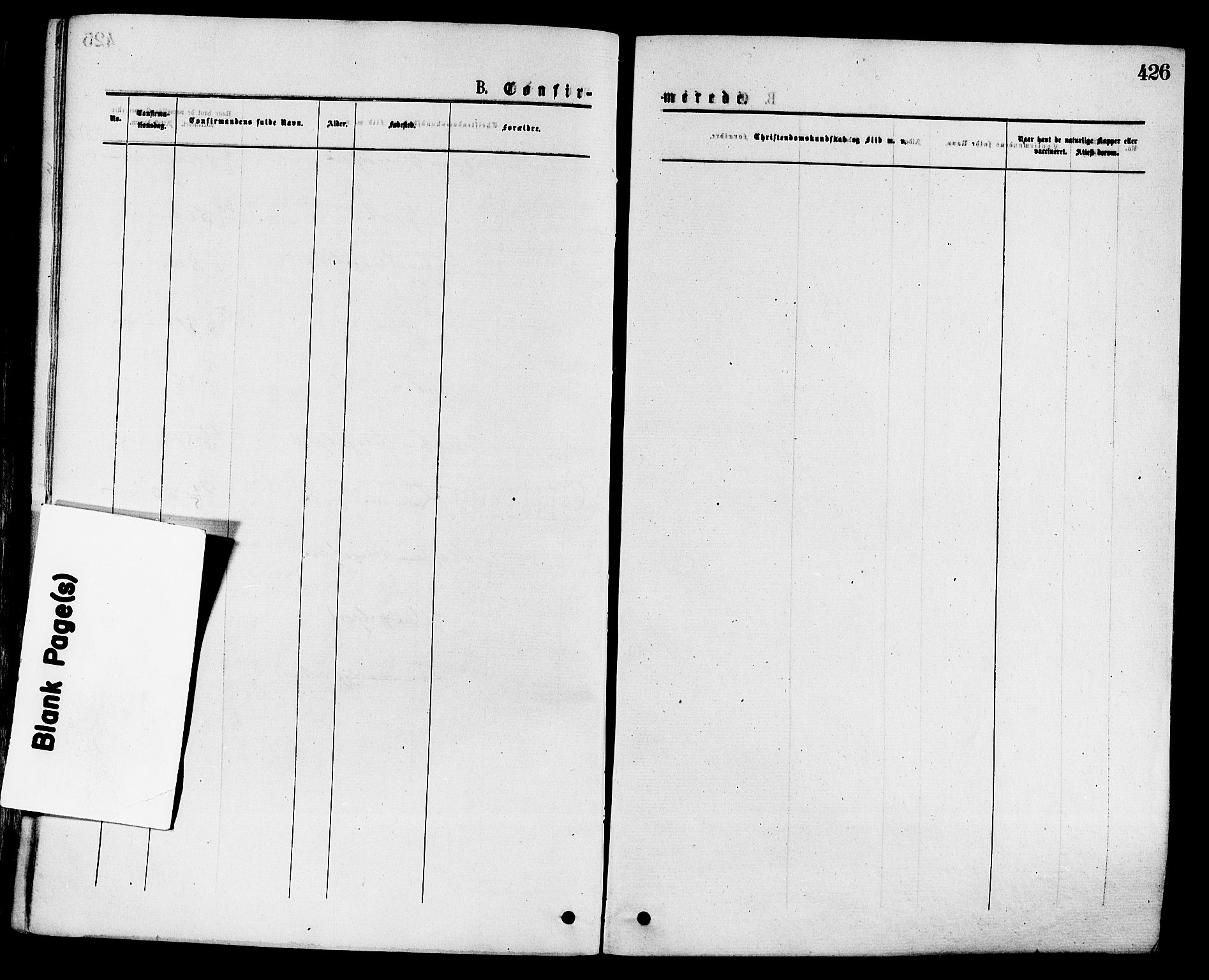 Sandar kirkebøker, AV/SAKO-A-243/F/Fa/L0010: Parish register (official) no. 10, 1872-1882, p. 426