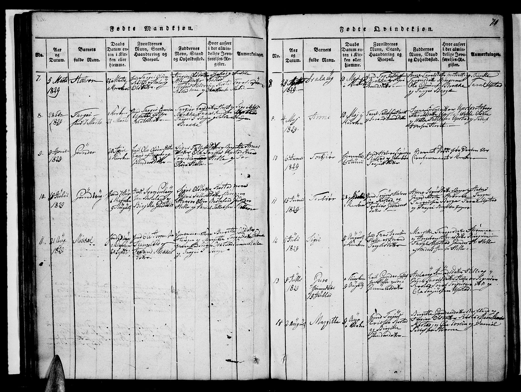 Valle sokneprestkontor, AV/SAK-1111-0044/F/Fb/Fbc/L0001: Parish register (copy) no. B 1 /2, 1816-1829, p. 71