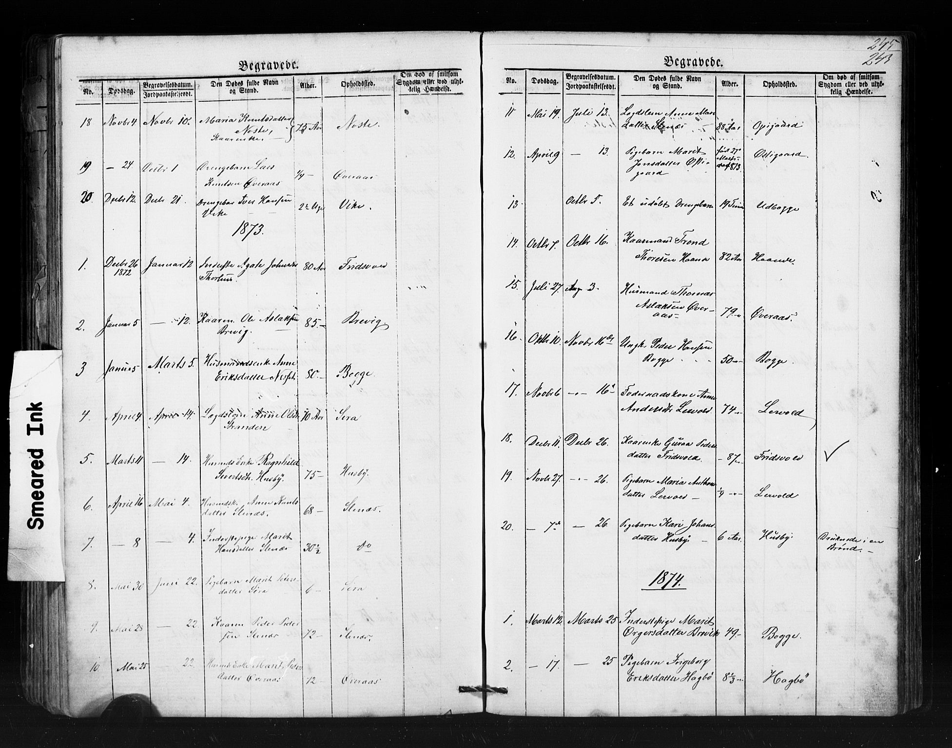 Ministerialprotokoller, klokkerbøker og fødselsregistre - Møre og Romsdal, AV/SAT-A-1454/552/L0638: Parish register (copy) no. 552C01, 1867-1902, p. 243