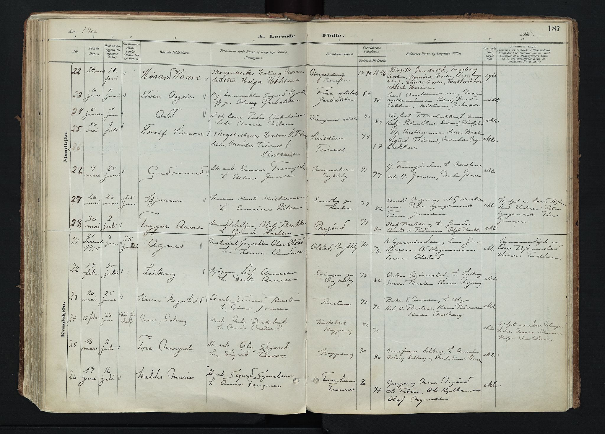 Stor-Elvdal prestekontor, AV/SAH-PREST-052/H/Ha/Haa/L0004: Parish register (official) no. 4, 1890-1922, p. 187