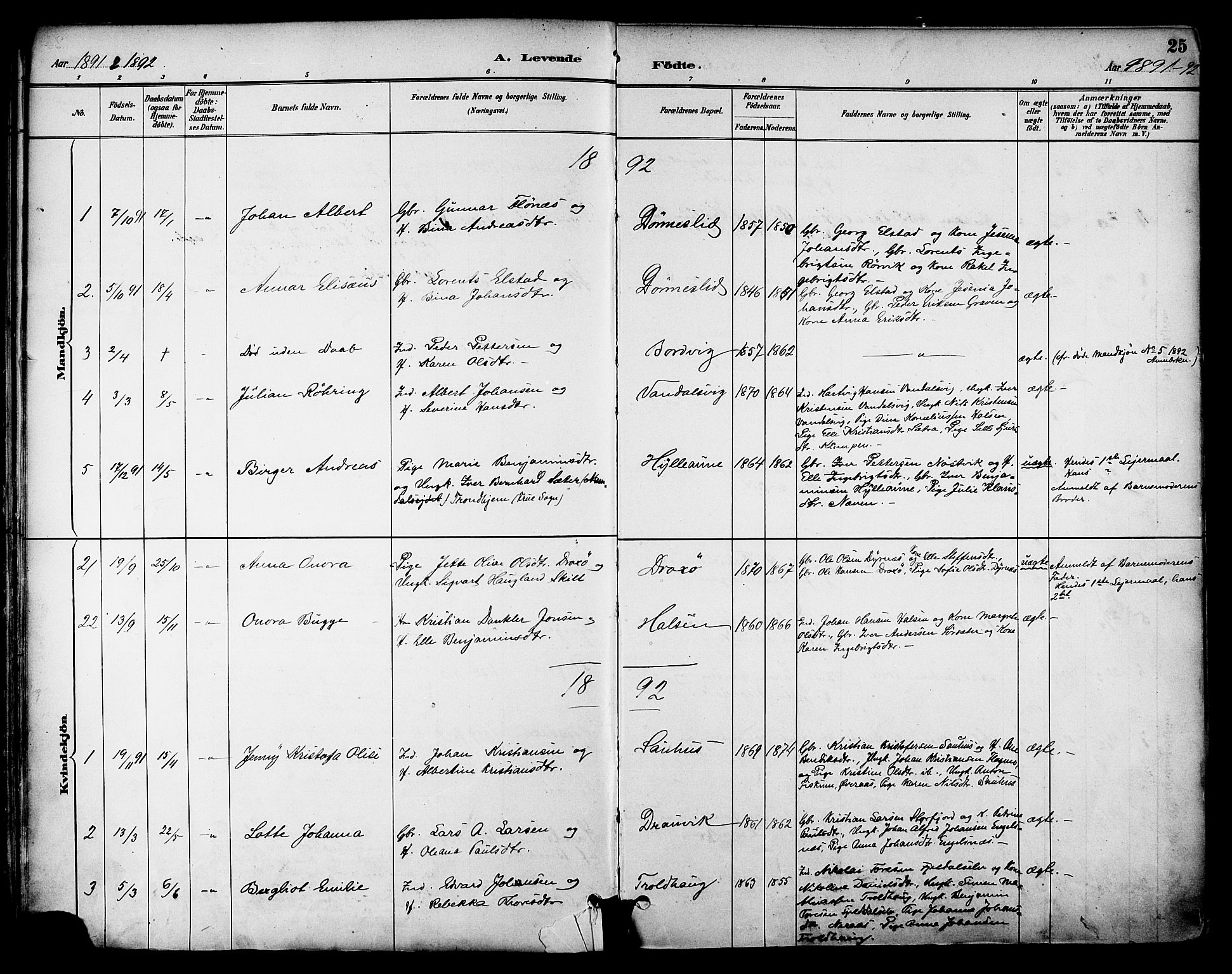 Ministerialprotokoller, klokkerbøker og fødselsregistre - Nordland, AV/SAT-A-1459/814/L0226: Parish register (official) no. 814A07, 1886-1898, p. 25