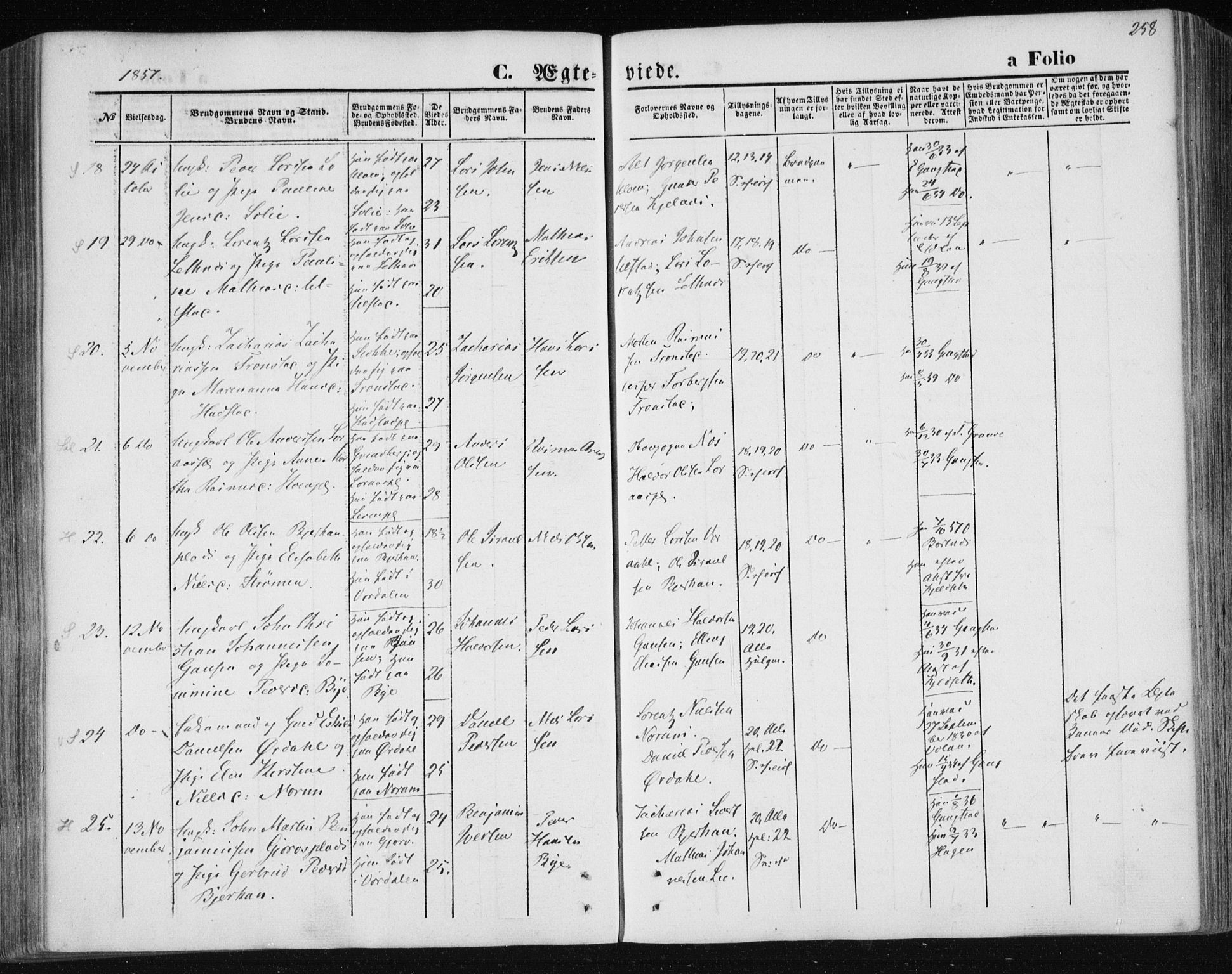 Ministerialprotokoller, klokkerbøker og fødselsregistre - Nord-Trøndelag, AV/SAT-A-1458/730/L0283: Parish register (official) no. 730A08, 1855-1865, p. 258