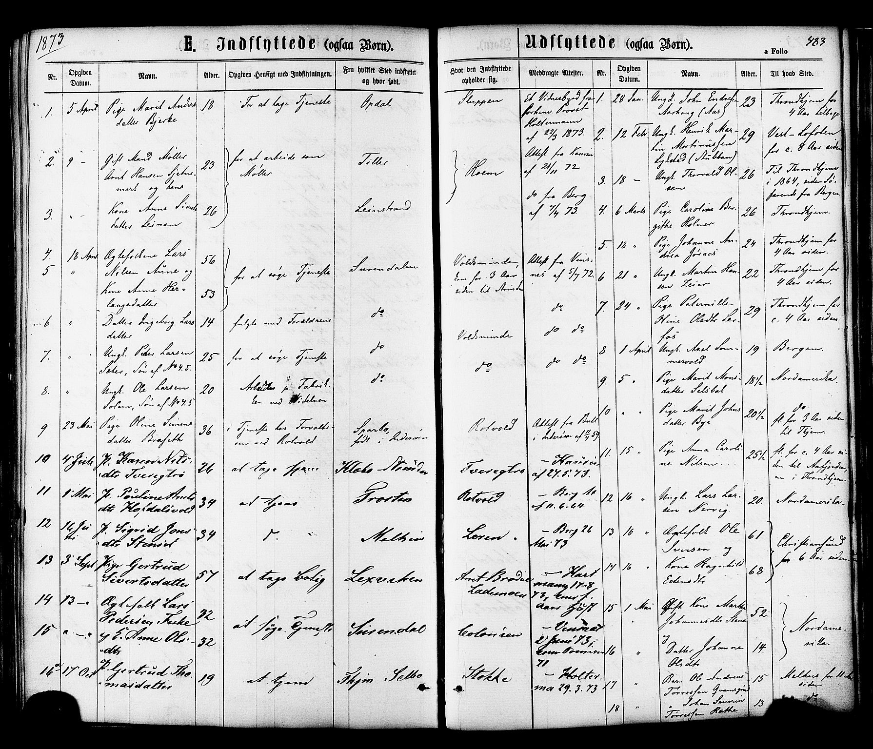 Ministerialprotokoller, klokkerbøker og fødselsregistre - Sør-Trøndelag, AV/SAT-A-1456/606/L0293: Parish register (official) no. 606A08, 1866-1877, p. 483