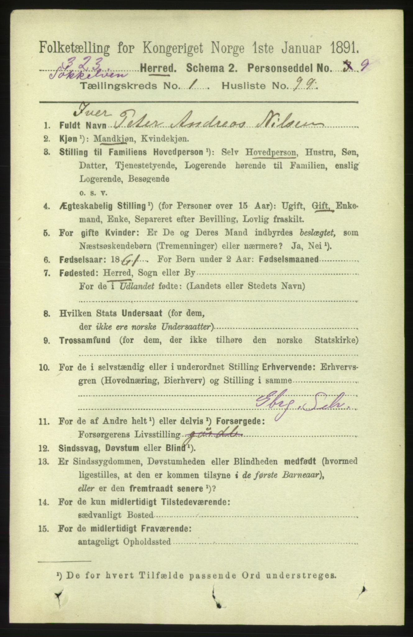 RA, 1891 census for 1528 Sykkylven, 1891, p. 732