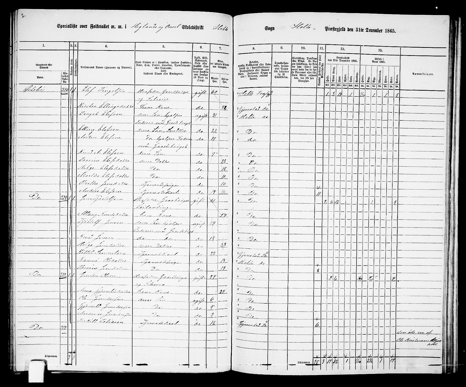RA, 1865 census for Holt/Holt, 1865, p. 147