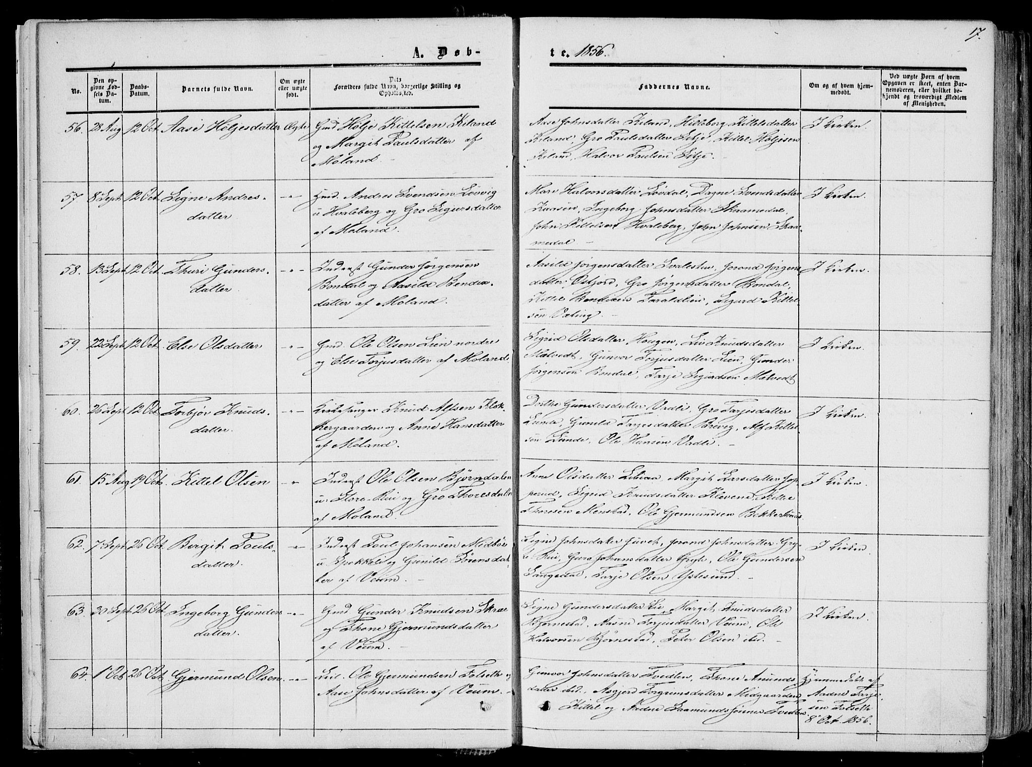 Fyresdal kirkebøker, AV/SAKO-A-263/F/Fa/L0005: Parish register (official) no. I 5, 1855-1871, p. 17