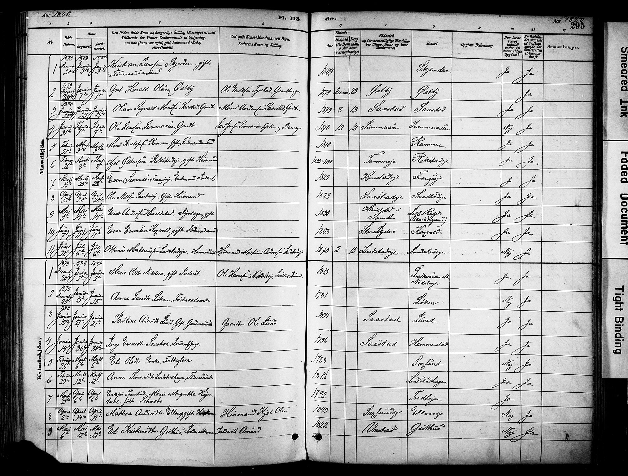 Stange prestekontor, SAH/PREST-002/K/L0017: Parish register (official) no. 17, 1880-1893, p. 295