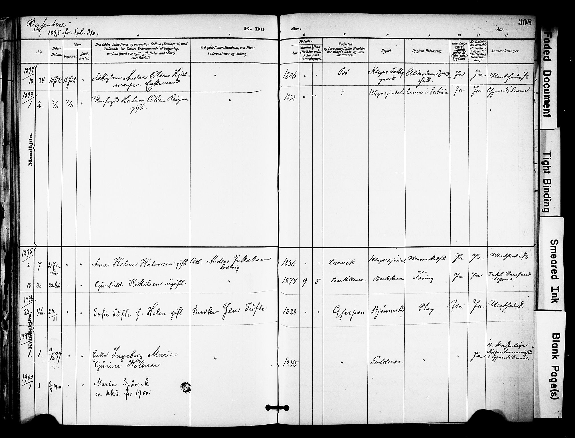Solum kirkebøker, SAKO/A-306/F/Fa/L0010: Parish register (official) no. I 10, 1888-1898, p. 308