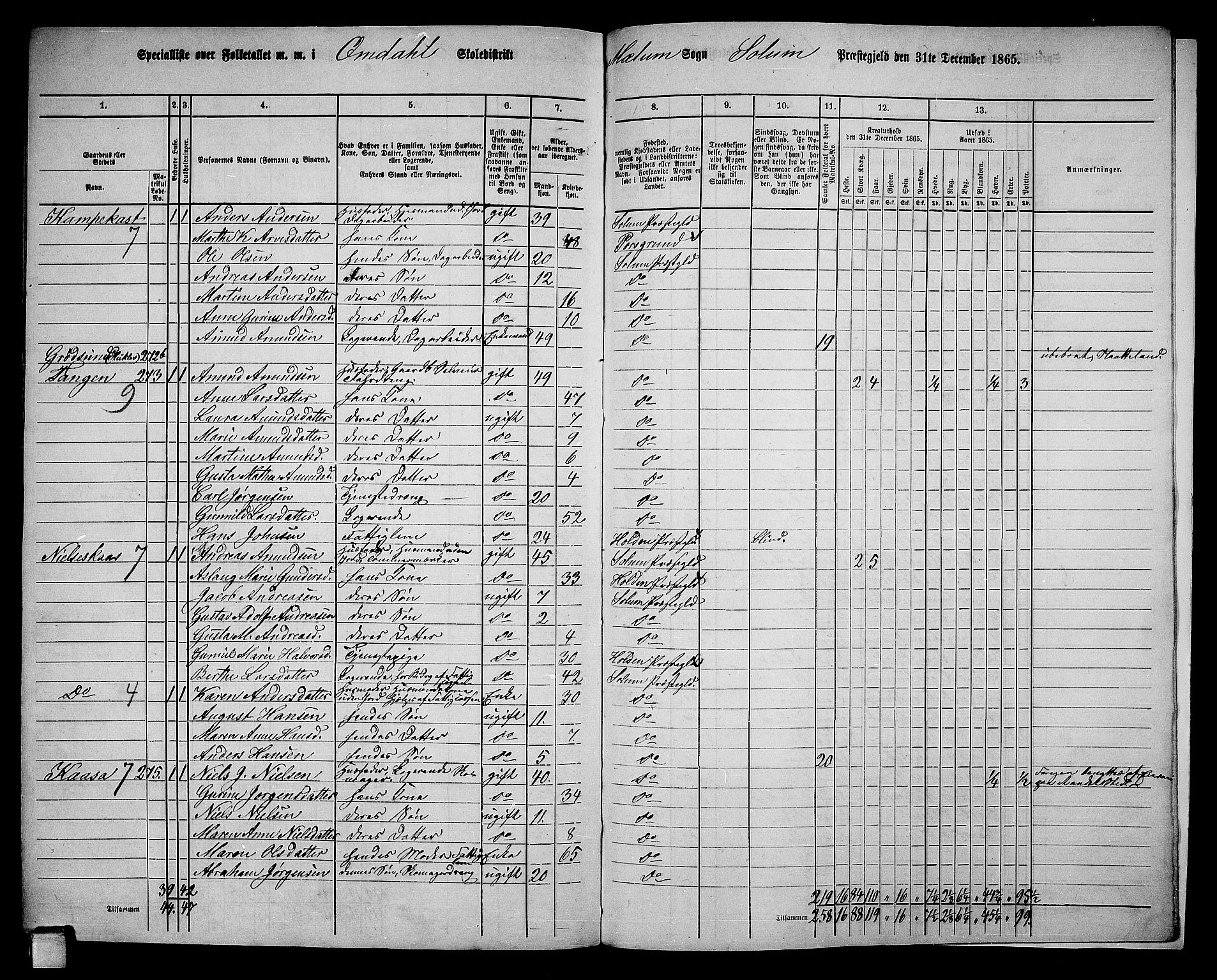 RA, 1865 census for Solum, 1865, p. 212