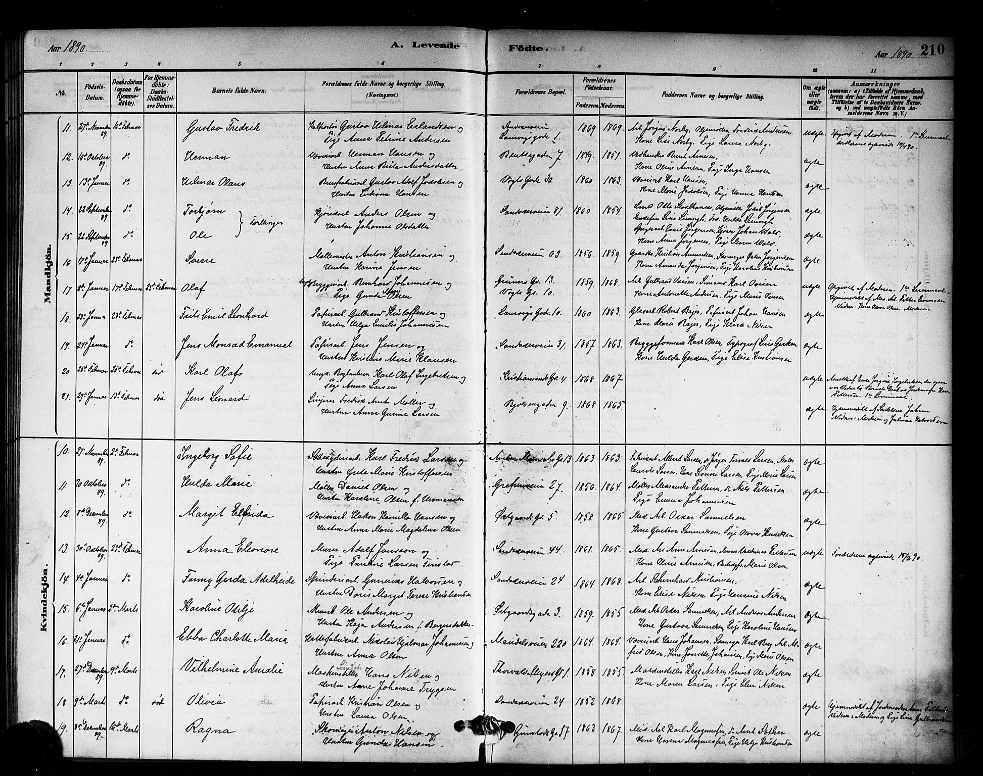 Sagene prestekontor Kirkebøker, SAO/A-10796/G/L0001: Parish register (copy) no. 1, 1880-1891, p. 210