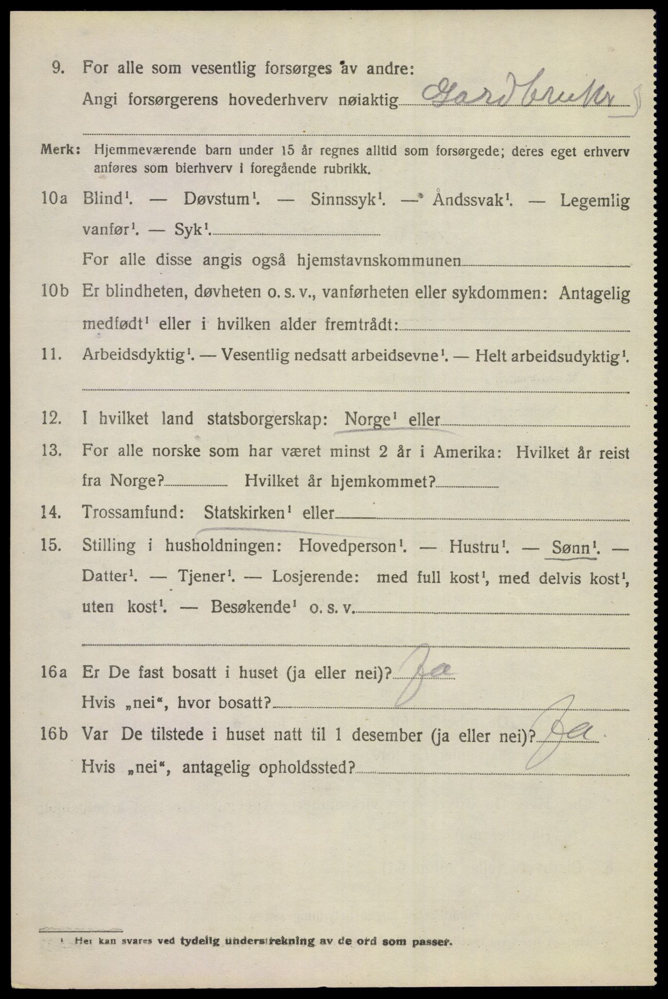 SAKO, 1920 census for Hol (Buskerud), 1920, p. 1850