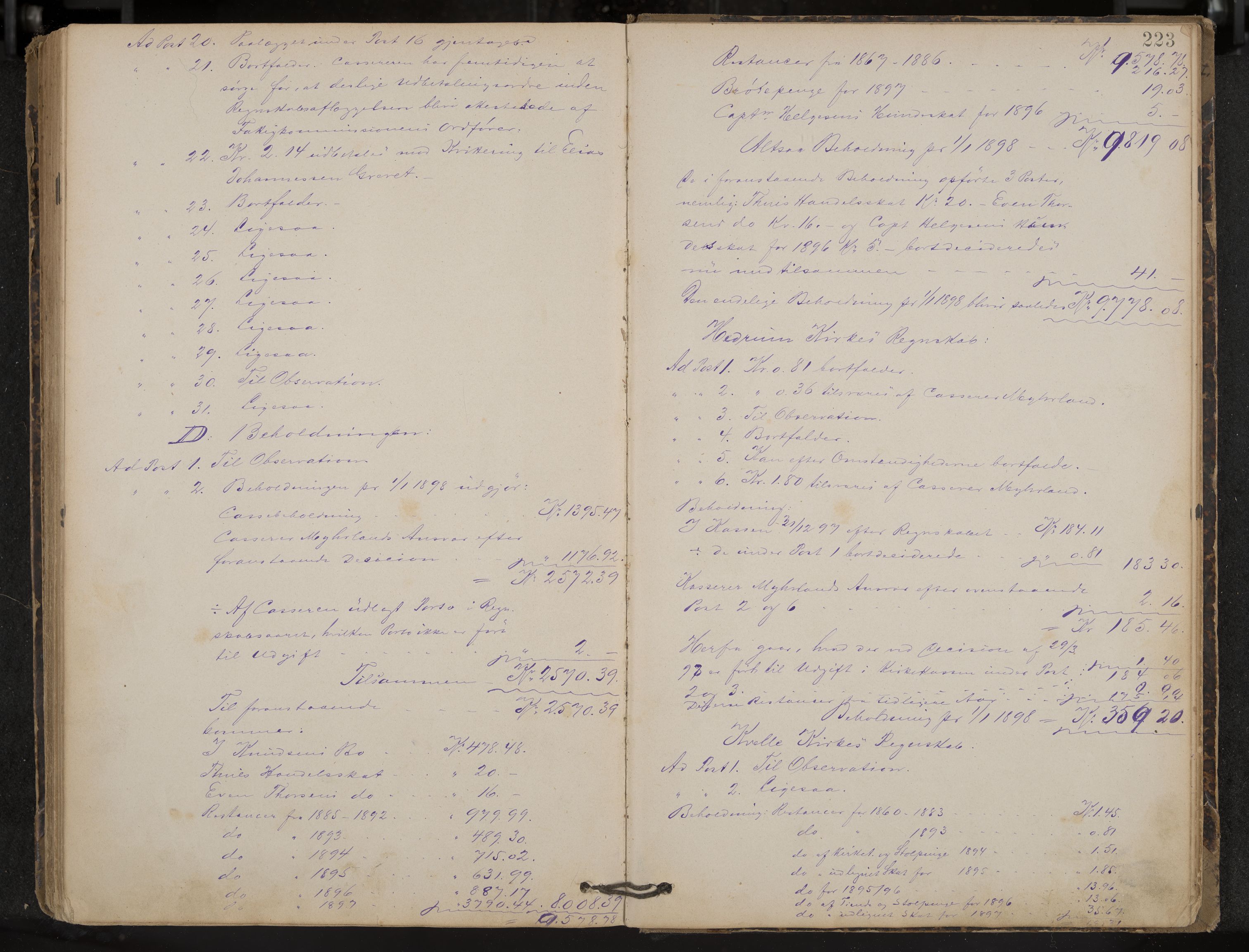 Hedrum formannskap og sentraladministrasjon, IKAK/0727021/A/Aa/L0004: Møtebok, 1888-1899, p. 223