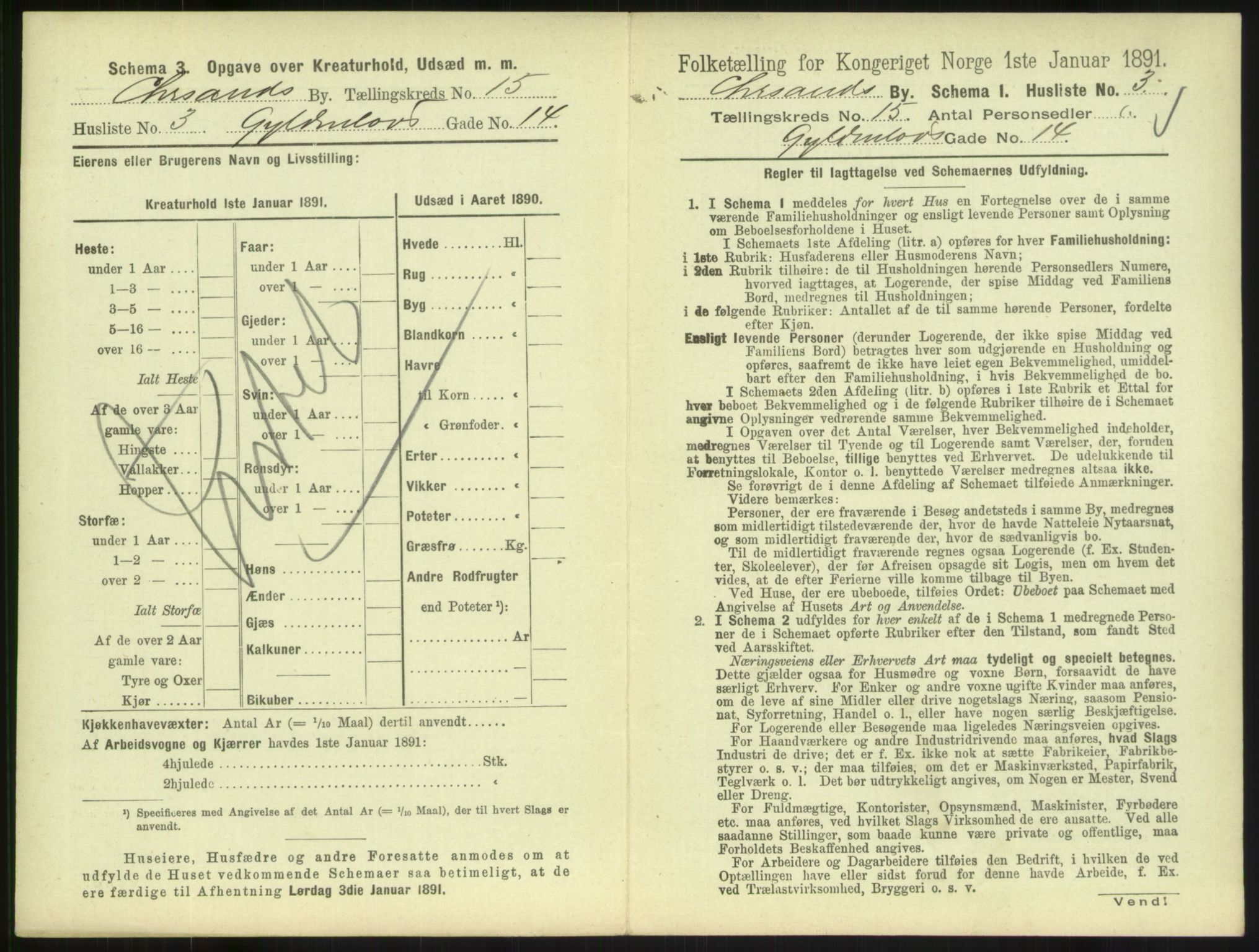 RA, 1891 census for 1001 Kristiansand, 1891, p. 916