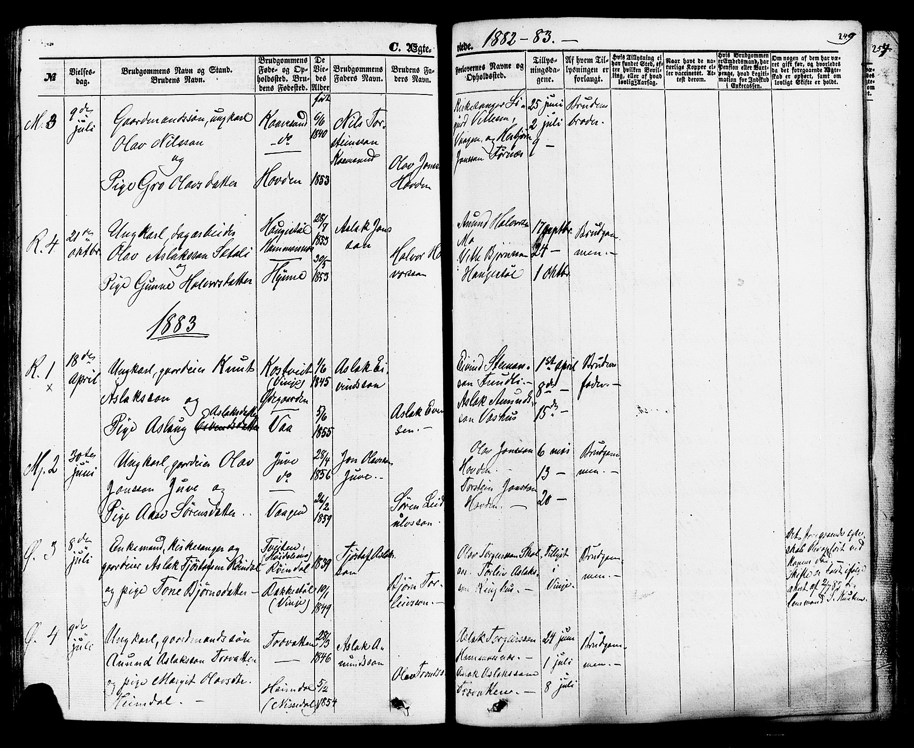Rauland kirkebøker, SAKO/A-292/F/Fa/L0003: Parish register (official) no. 3, 1859-1886, p. 249