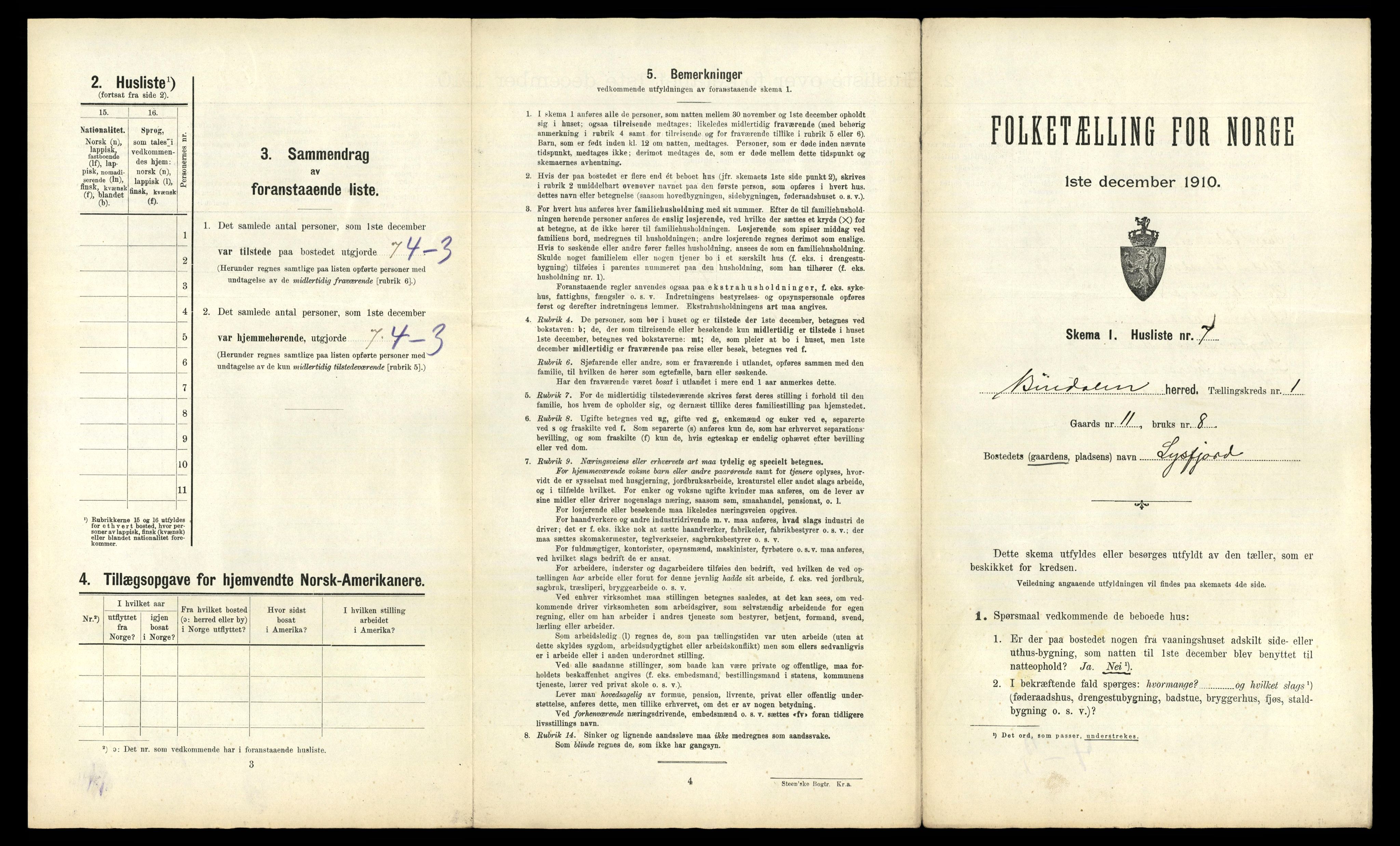 RA, 1910 census for Bindal, 1910, p. 46