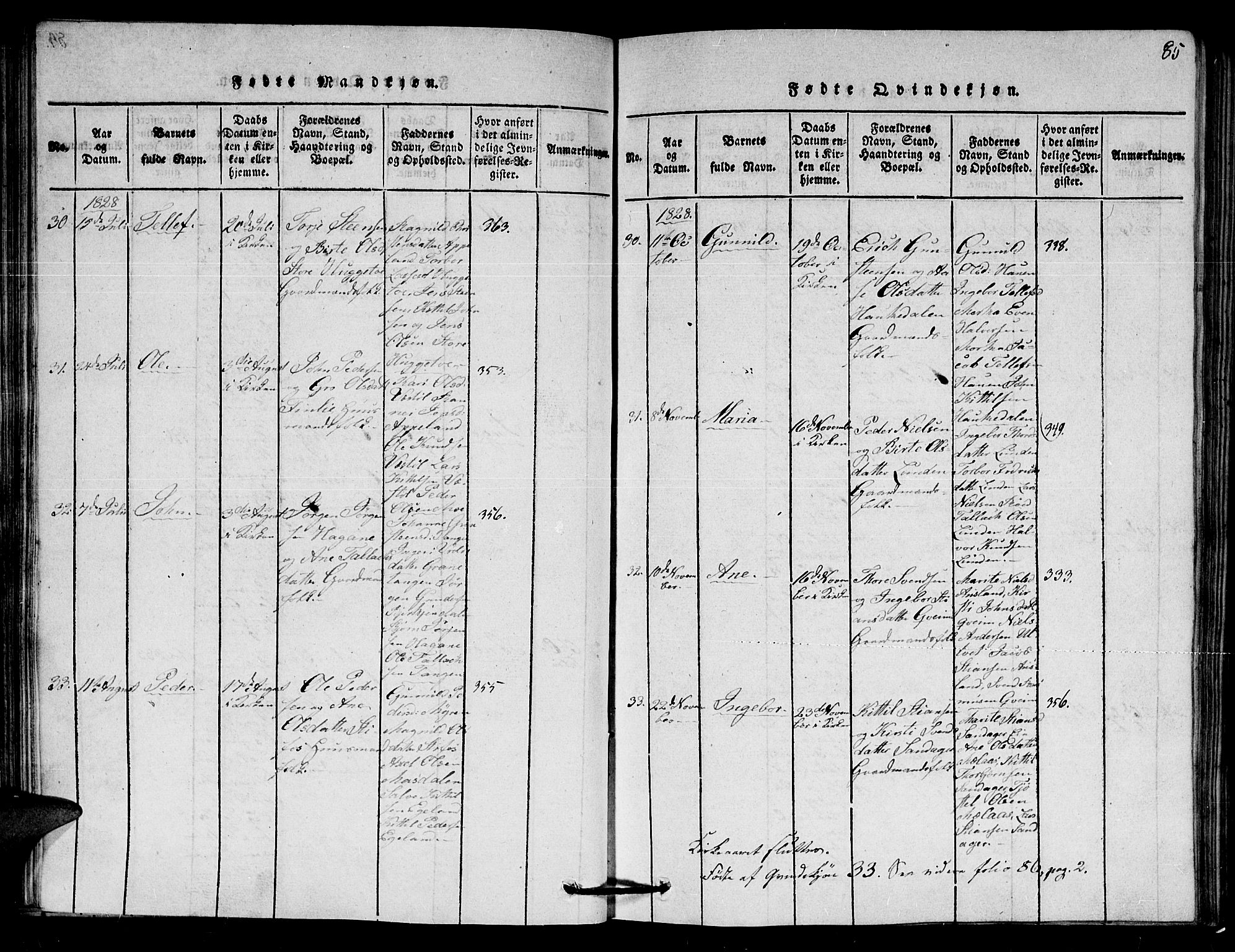 Gjerstad sokneprestkontor, AV/SAK-1111-0014/F/Fa/Faa/L0004: Parish register (official) no. A 4, 1816-1829, p. 85