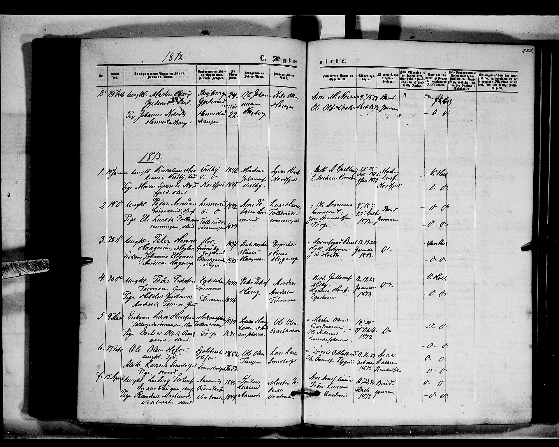 Brandval prestekontor, AV/SAH-PREST-034/H/Ha/Haa/L0001: Parish register (official) no. 1, 1864-1879, p. 223