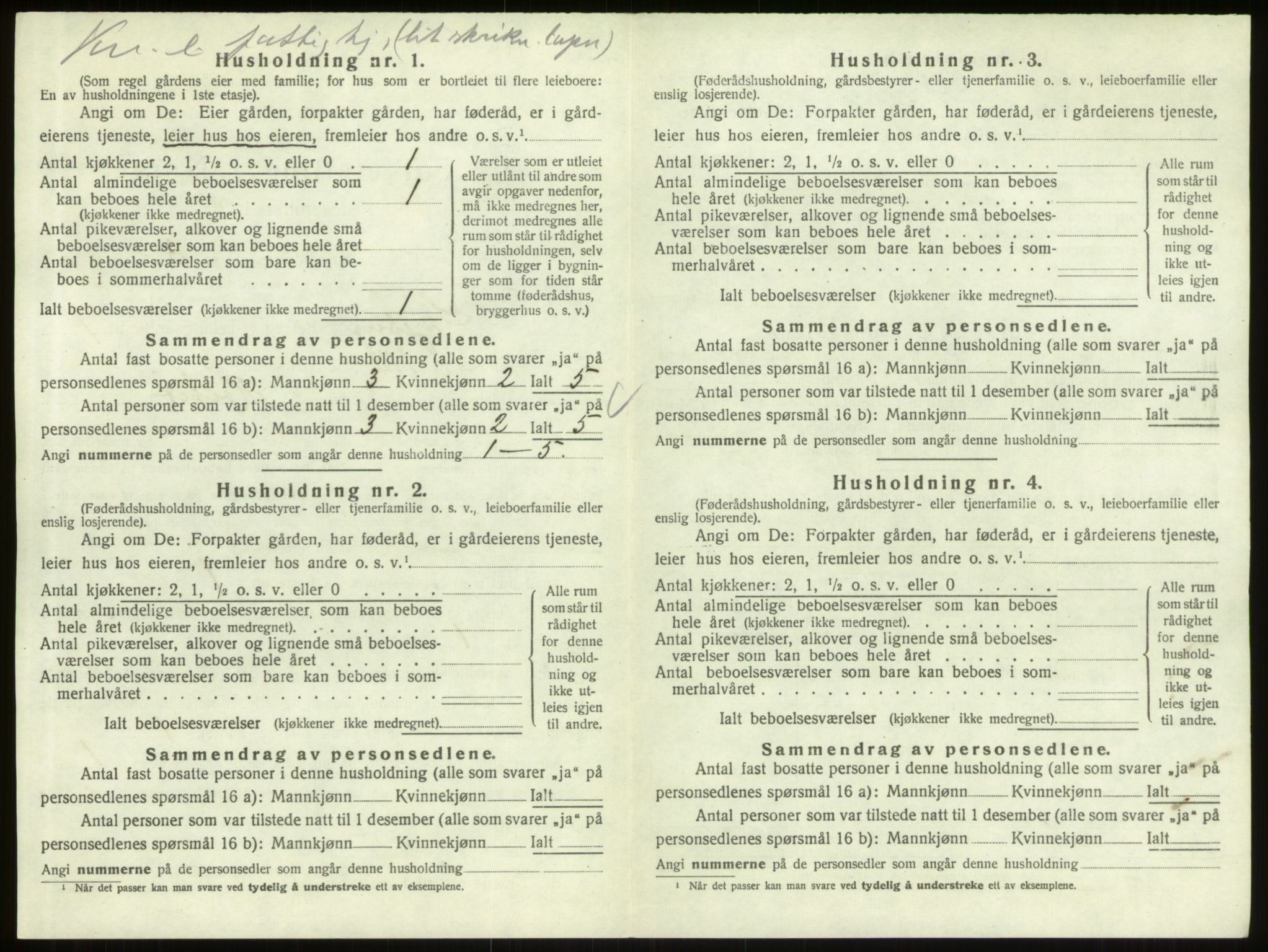 SAO, 1920 census for Skjeberg, 1920, p. 898