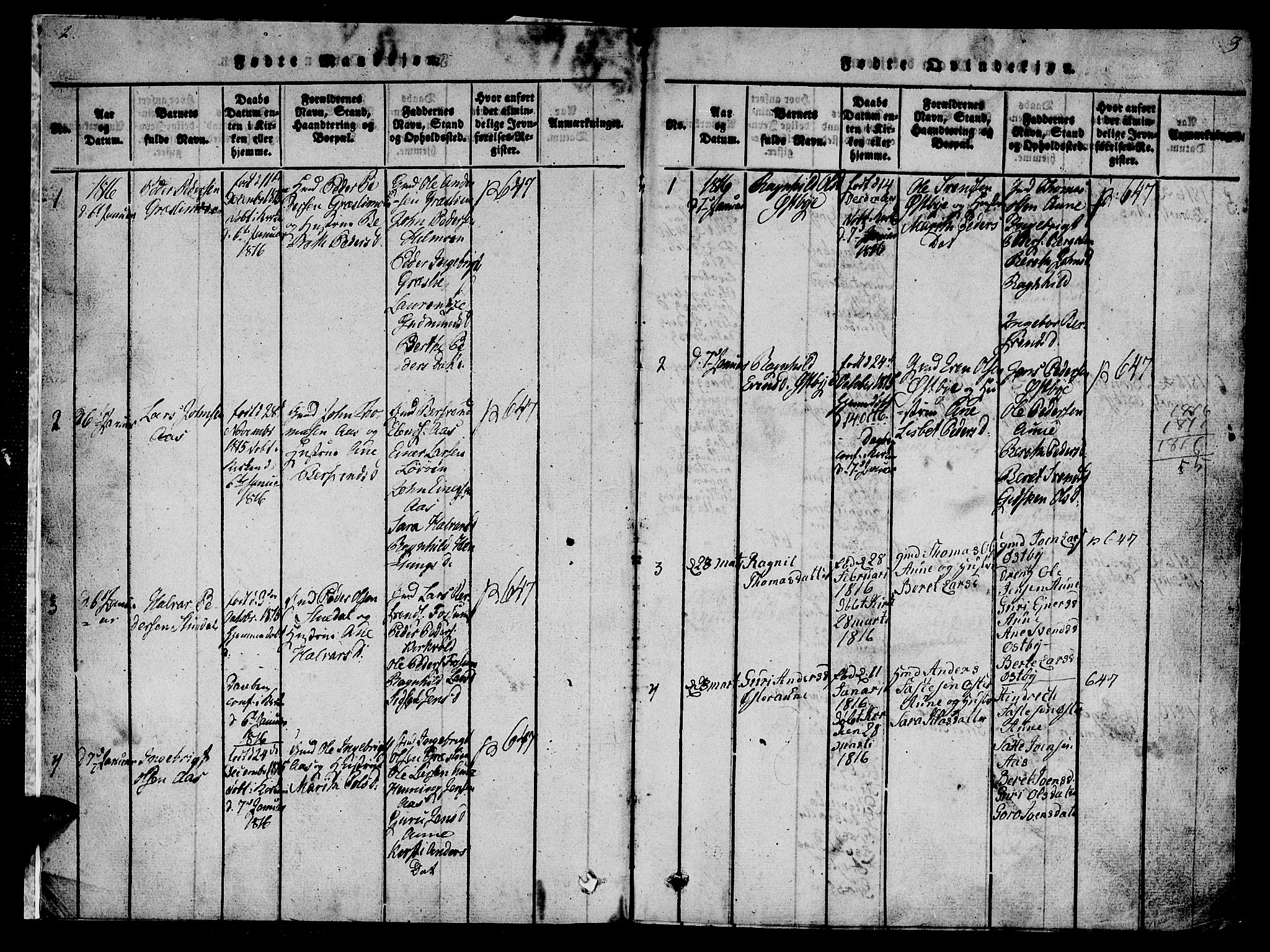 Ministerialprotokoller, klokkerbøker og fødselsregistre - Sør-Trøndelag, AV/SAT-A-1456/698/L1164: Parish register (copy) no. 698C01, 1816-1861, p. 2-3