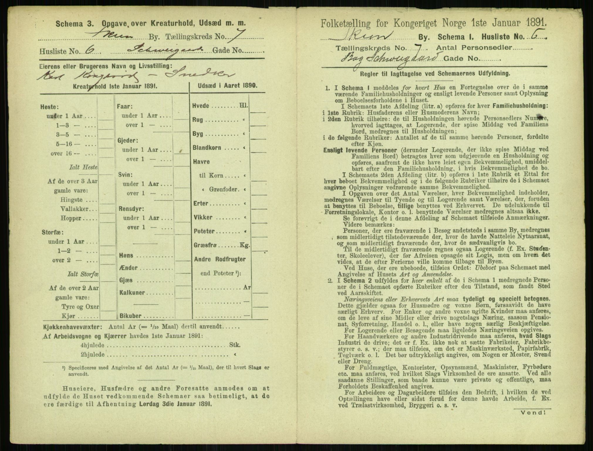 RA, 1891 census for 0806 Skien, 1891, p. 318