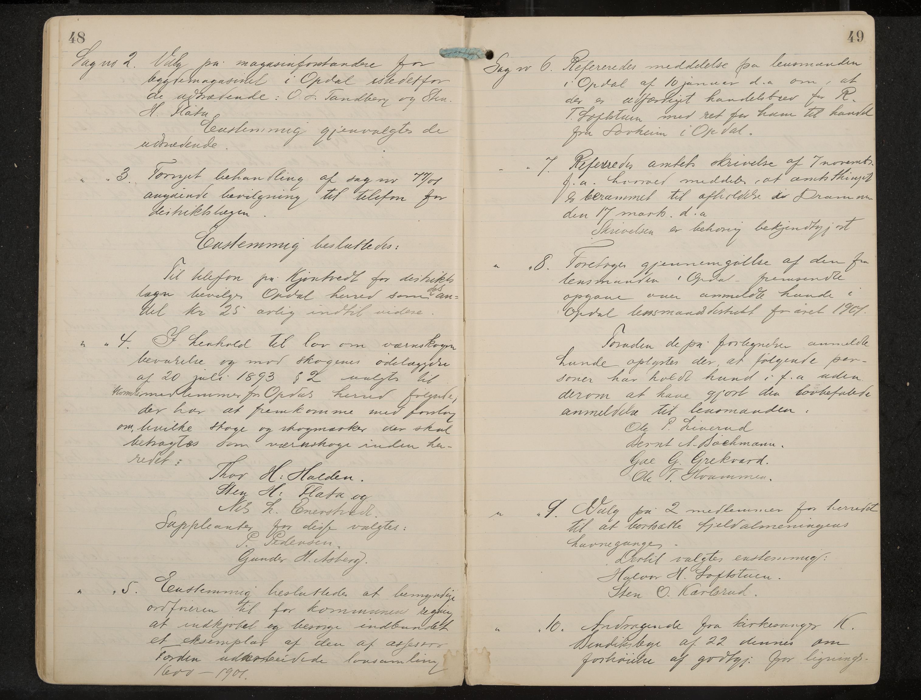 Uvdal formannskap og sentraladministrasjon, IKAK/0634021/A/Aa/L0001: Møtebok, 1901-1909, p. 48-49