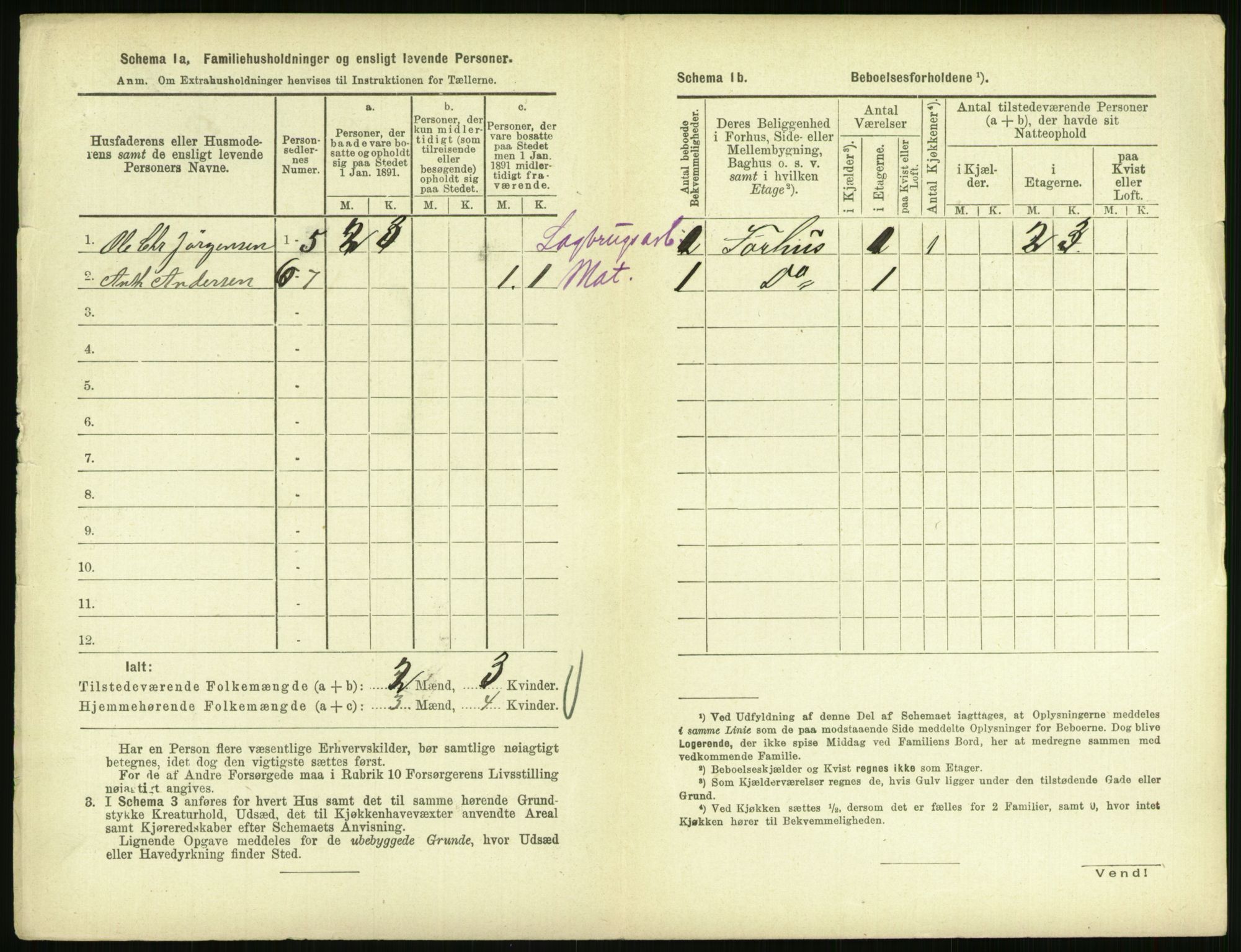 RA, 1891 census for 0707 Larvik, 1891, p. 686