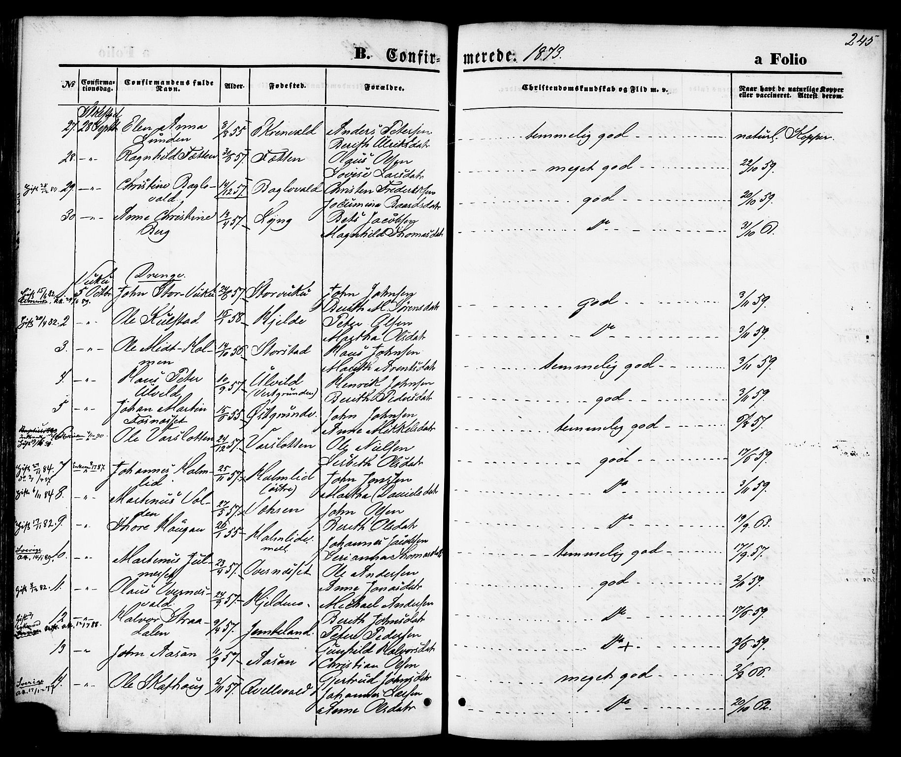 Ministerialprotokoller, klokkerbøker og fødselsregistre - Nord-Trøndelag, AV/SAT-A-1458/723/L0242: Parish register (official) no. 723A11, 1870-1880, p. 245