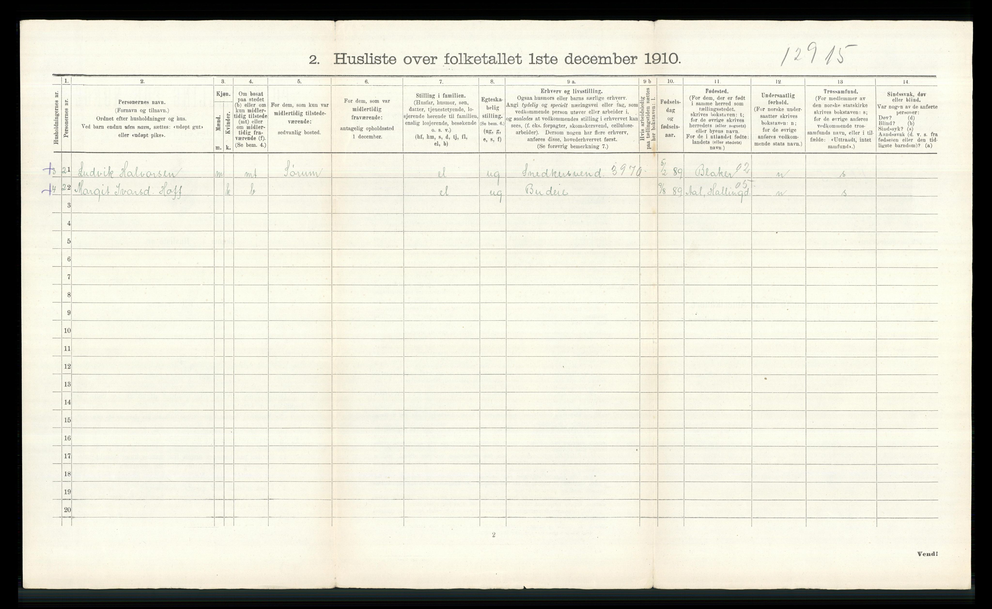 RA, 1910 census for Nes, 1910, p. 2995