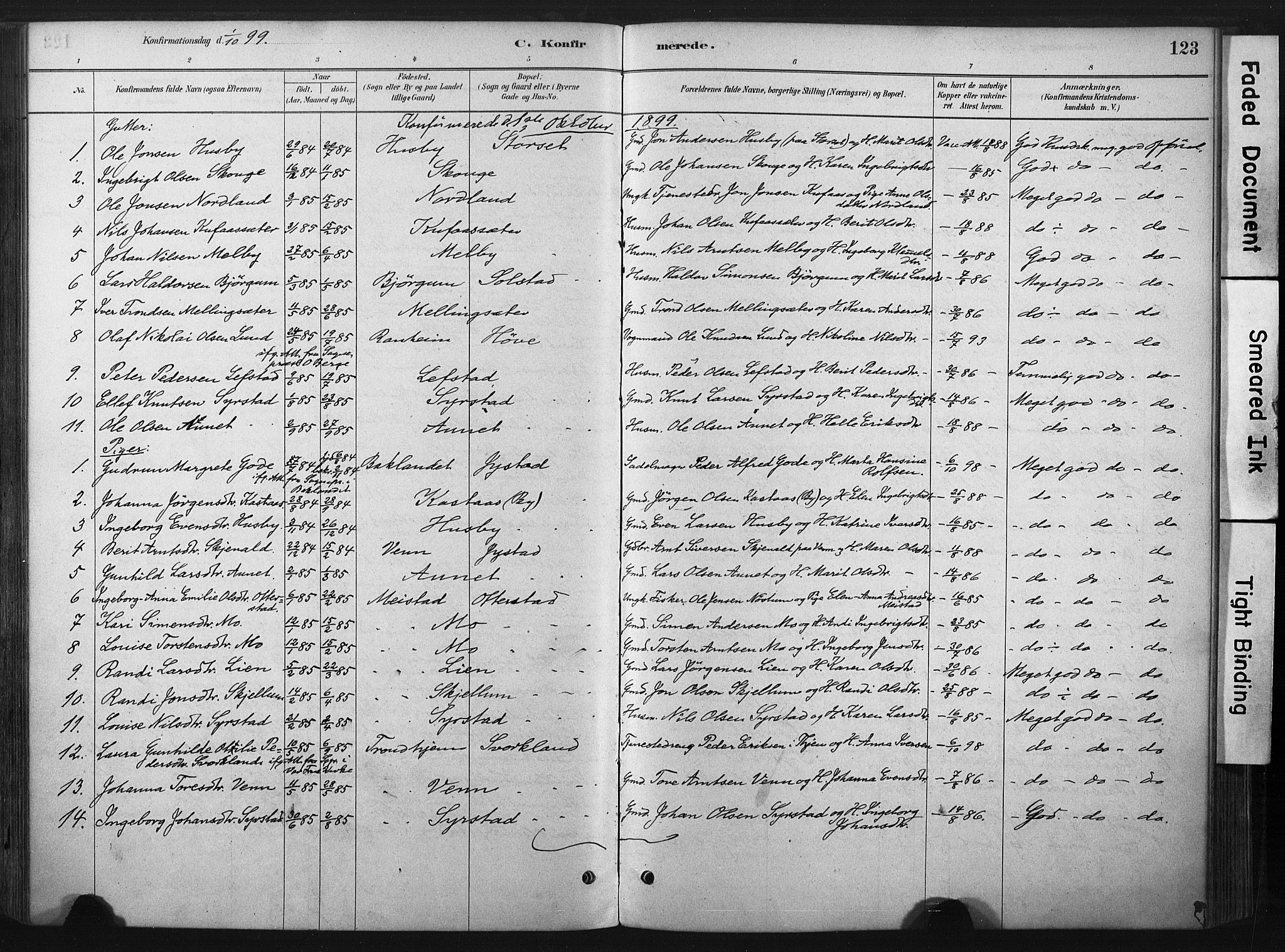 Ministerialprotokoller, klokkerbøker og fødselsregistre - Sør-Trøndelag, SAT/A-1456/667/L0795: Parish register (official) no. 667A03, 1879-1907, p. 123