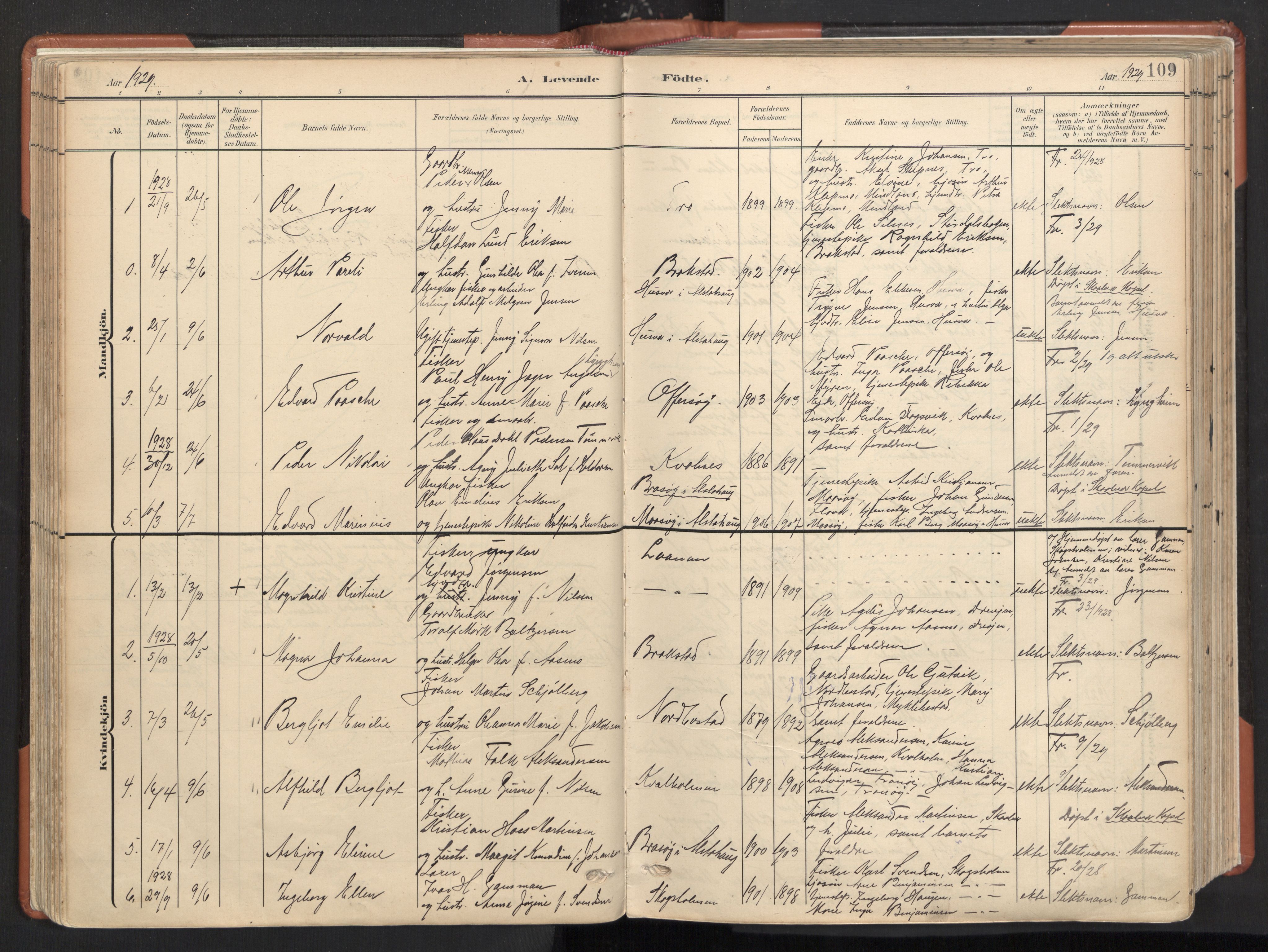 Ministerialprotokoller, klokkerbøker og fødselsregistre - Nordland, AV/SAT-A-1459/817/L0265: Parish register (official) no. 817A05, 1908-1944, p. 109