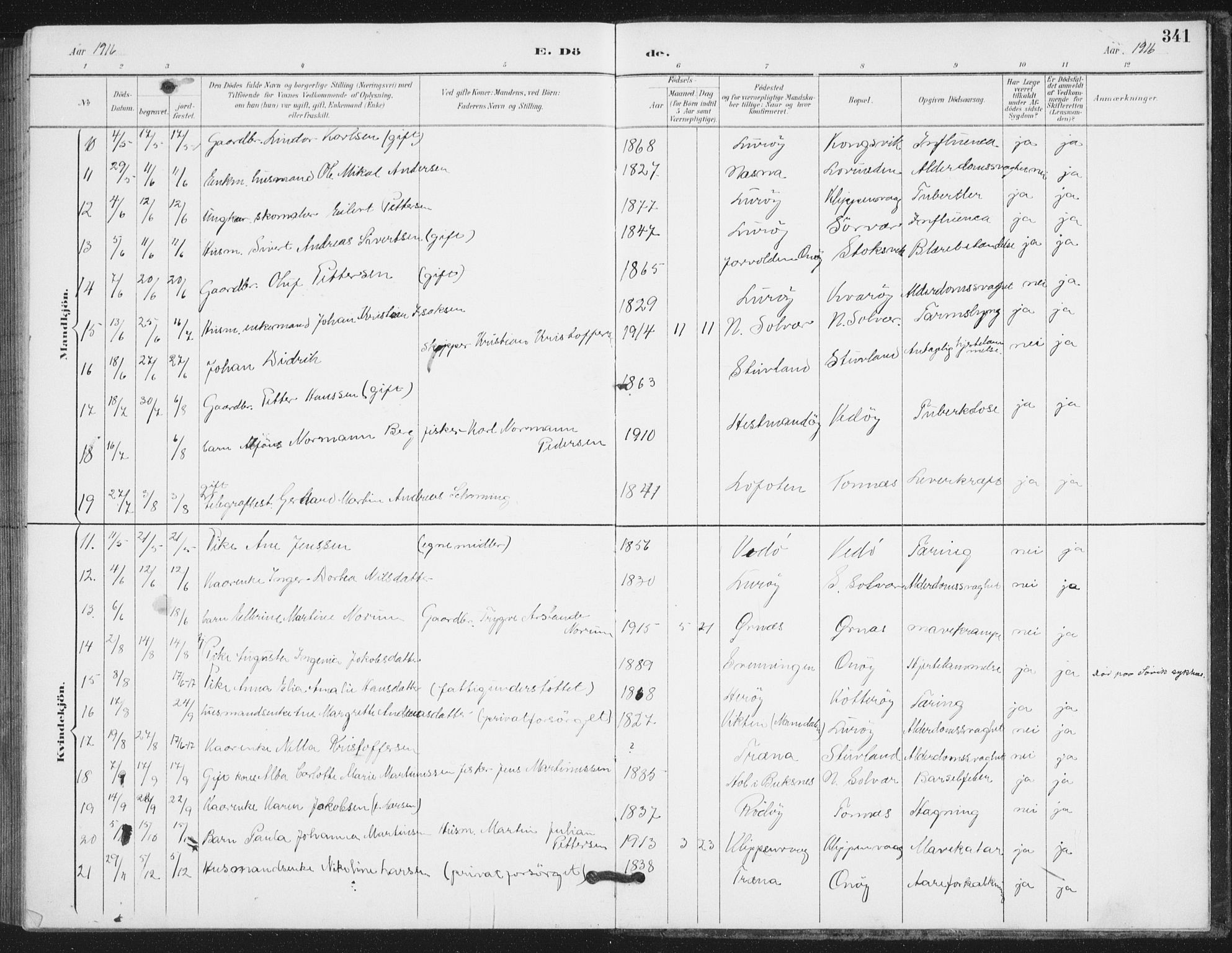 Ministerialprotokoller, klokkerbøker og fødselsregistre - Nordland, AV/SAT-A-1459/839/L0573: Parish register (copy) no. 839C03, 1892-1917, p. 341