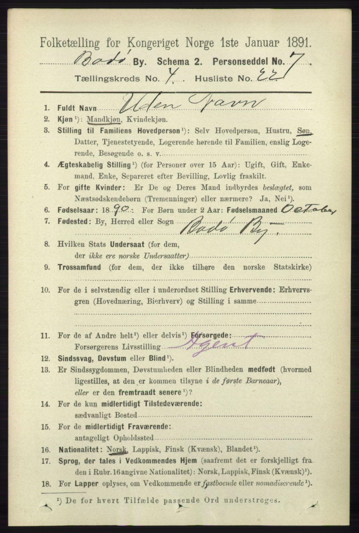 RA, 1891 census for 1804 Bodø, 1891, p. 3238