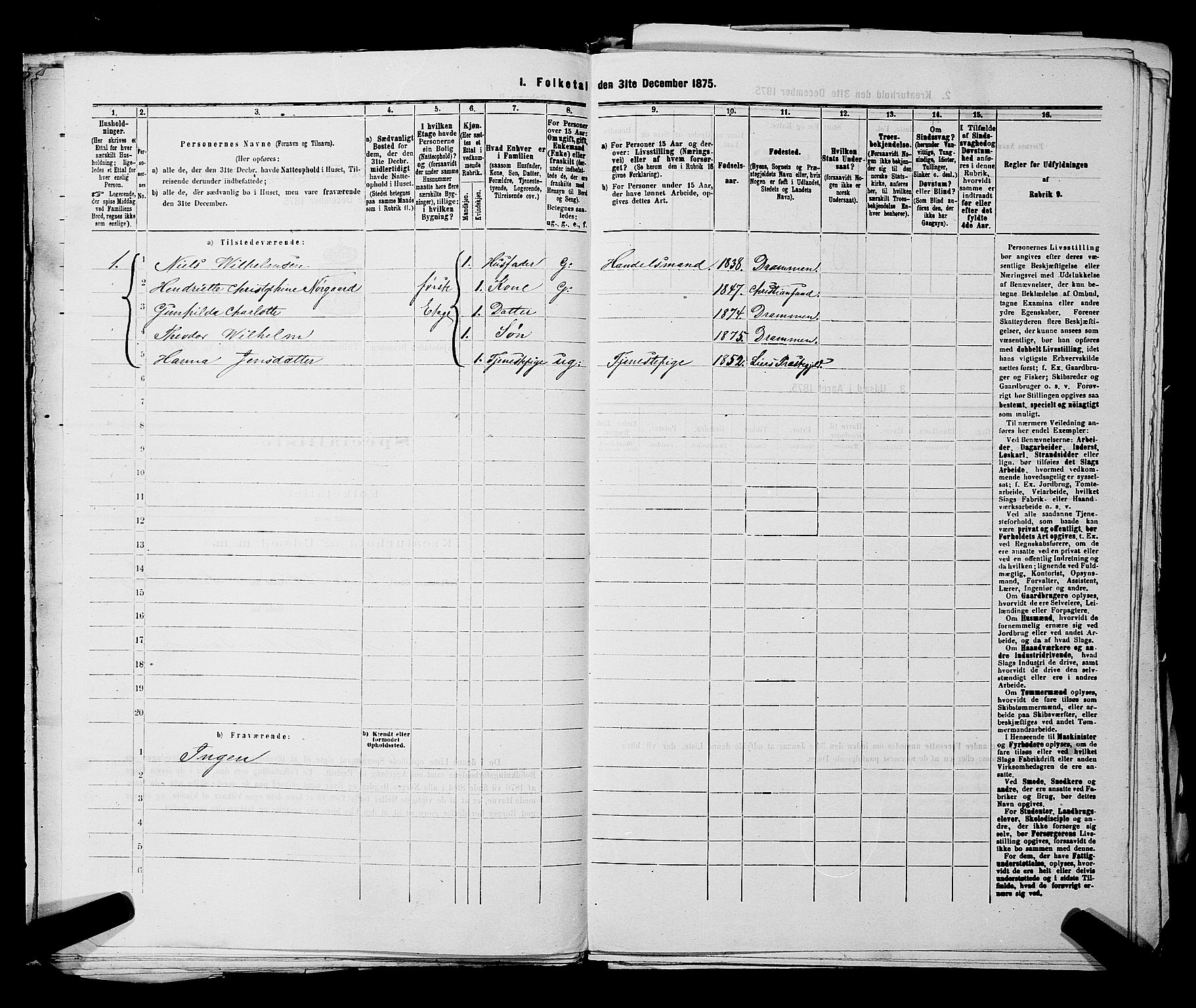 SAKO, 1875 census for 0602 Drammen, 1875, p. 1873