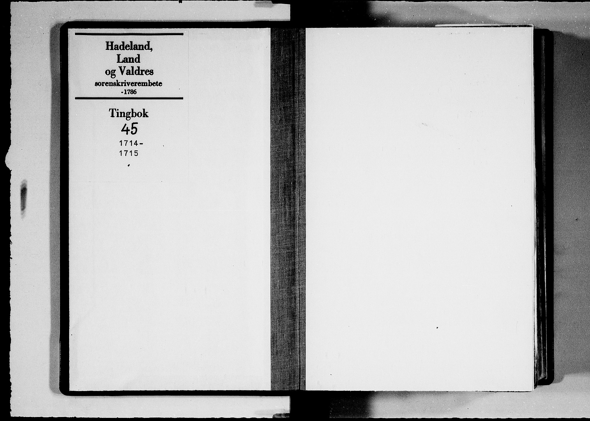 Hadeland, Land og Valdres sorenskriveri, SAH/TING-028/G/Gb/L0045: Tingbok, 1714-1715
