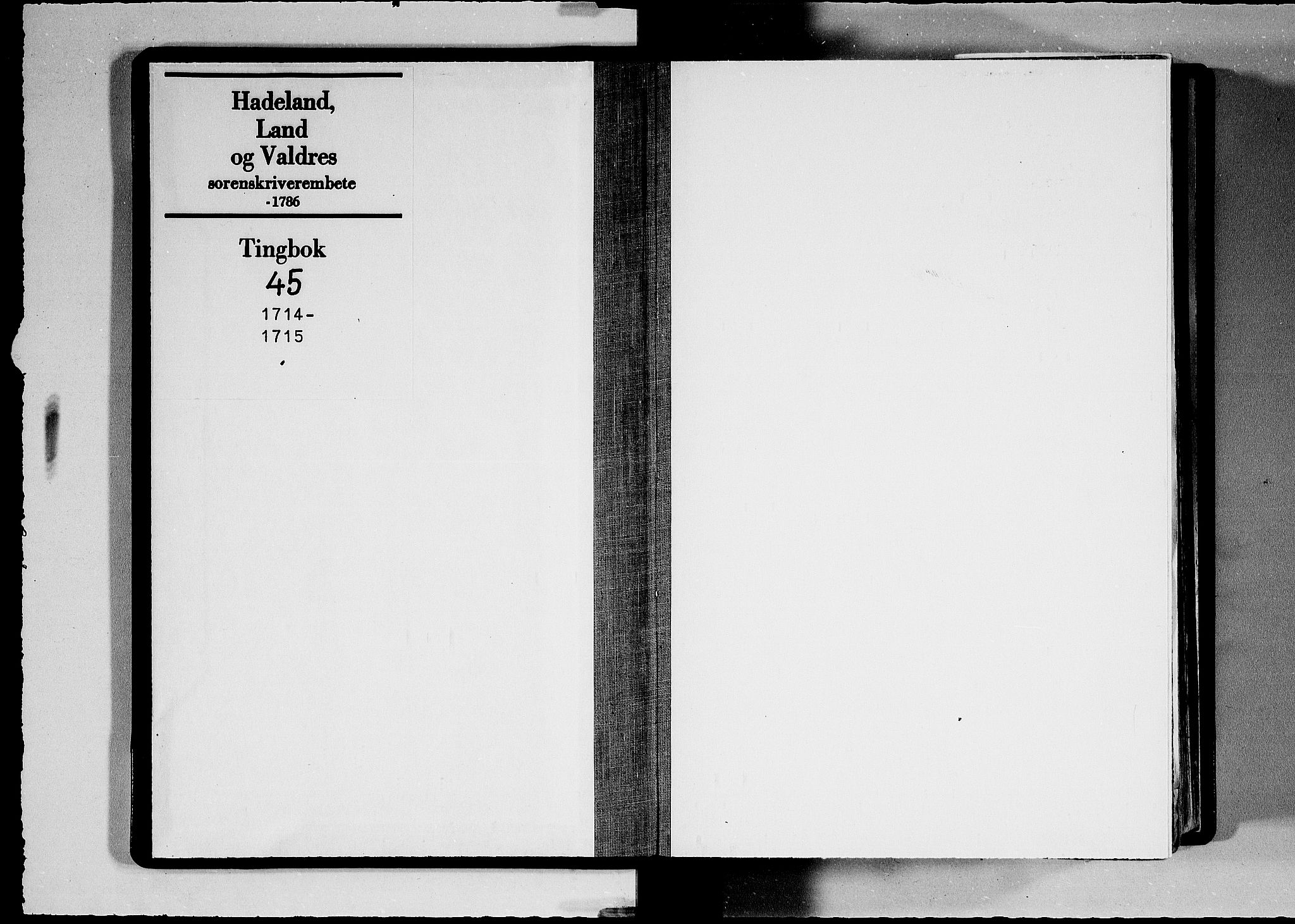 Hadeland, Land og Valdres sorenskriveri, AV/SAH-TING-028/G/Gb/L0045: Tingbok, 1714-1715