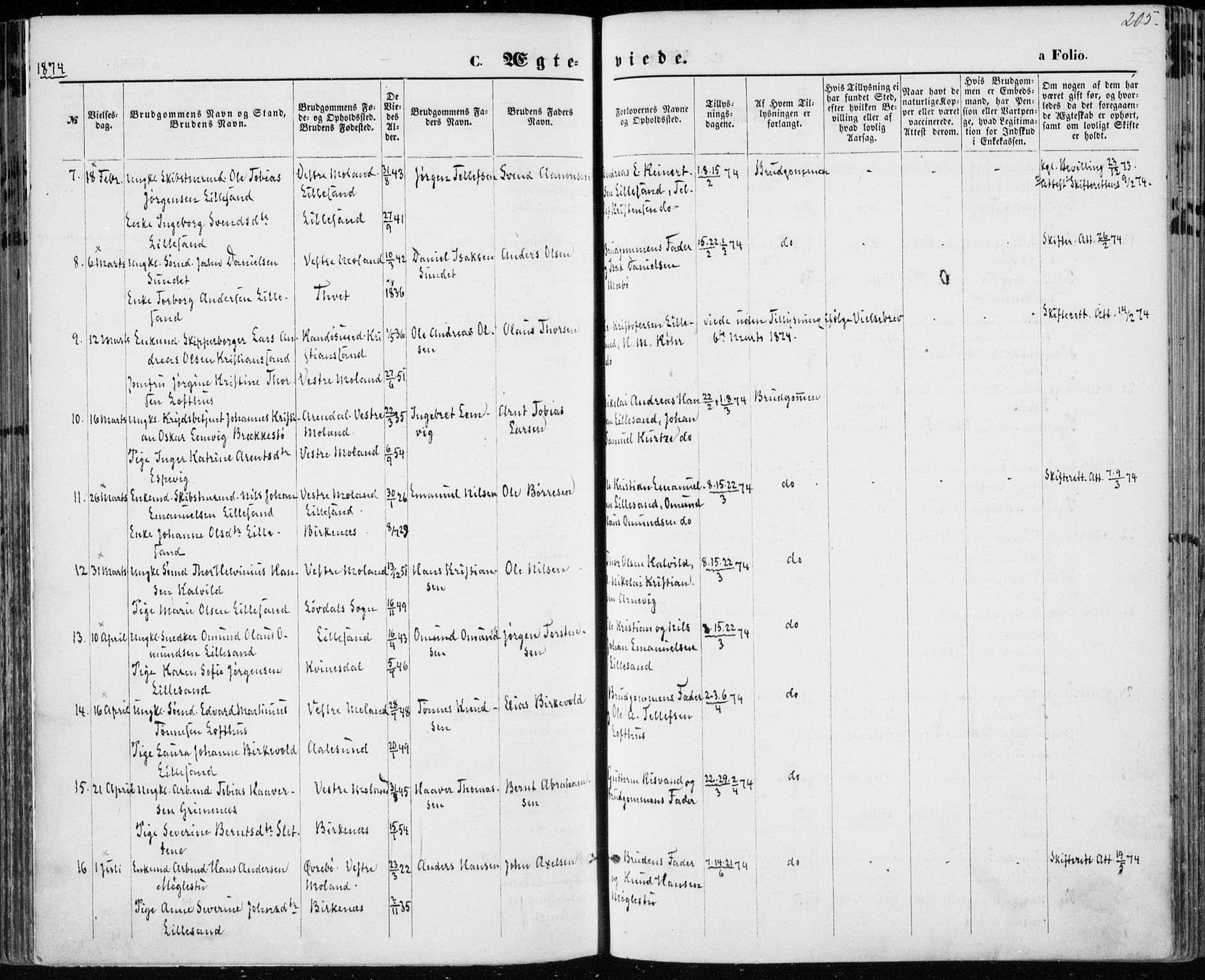 Vestre Moland sokneprestkontor, AV/SAK-1111-0046/F/Fa/Fab/L0008: Parish register (official) no. A 8, 1873-1883, p. 205