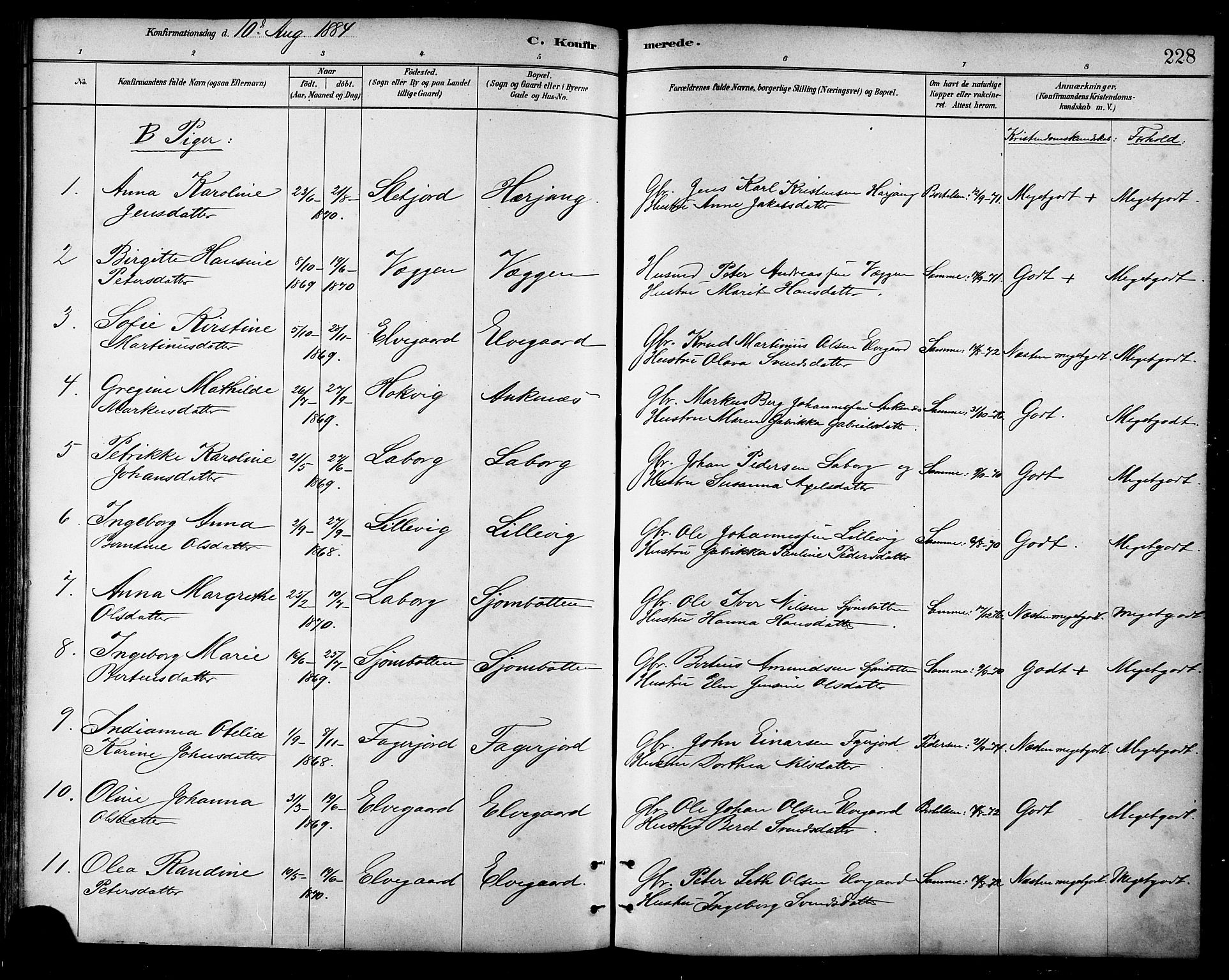 Ministerialprotokoller, klokkerbøker og fødselsregistre - Nordland, AV/SAT-A-1459/866/L0938: Parish register (official) no. 866A01, 1879-1893, p. 228