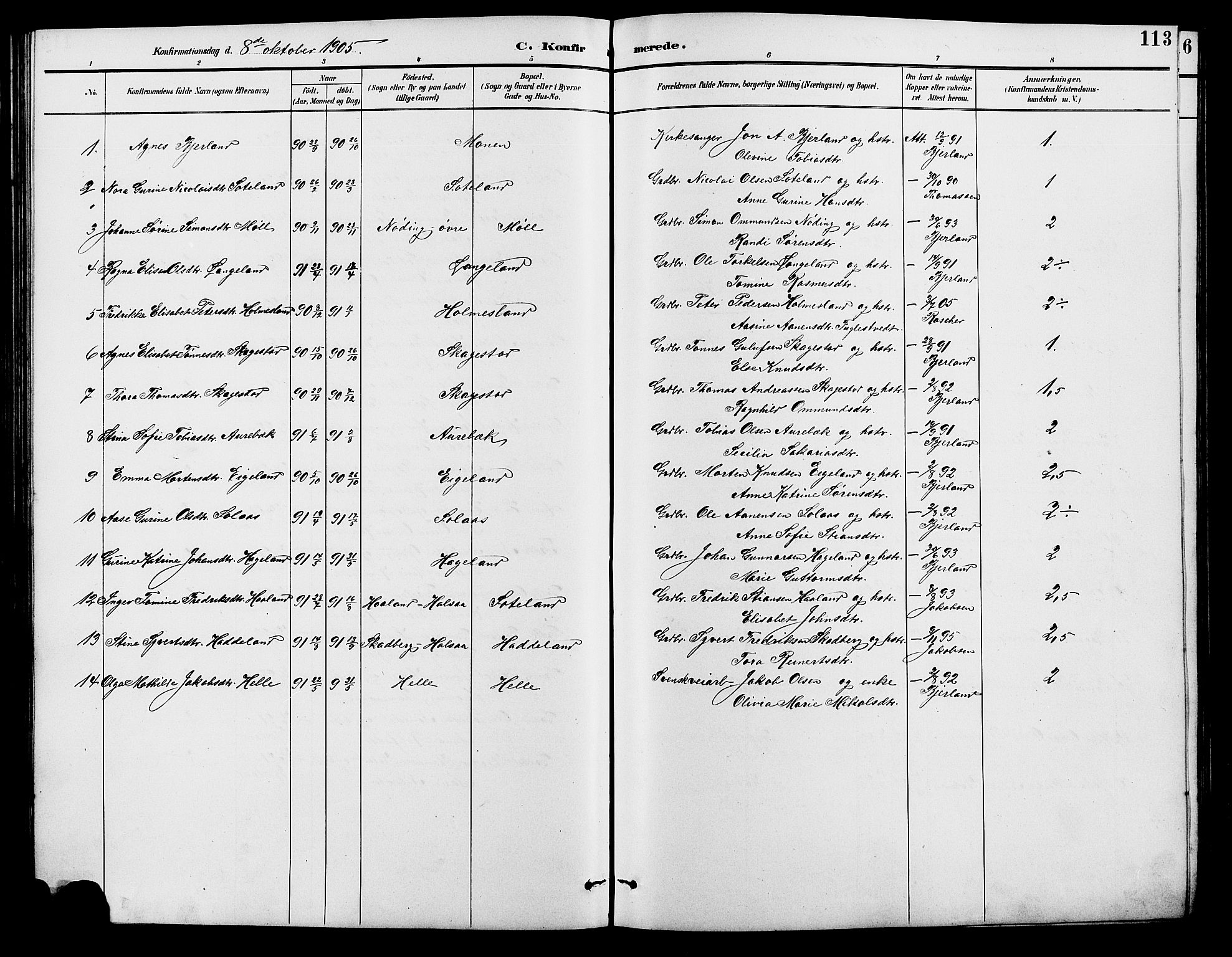 Holum sokneprestkontor, AV/SAK-1111-0022/F/Fb/Fba/L0005: Parish register (copy) no. B 5, 1891-1909, p. 113