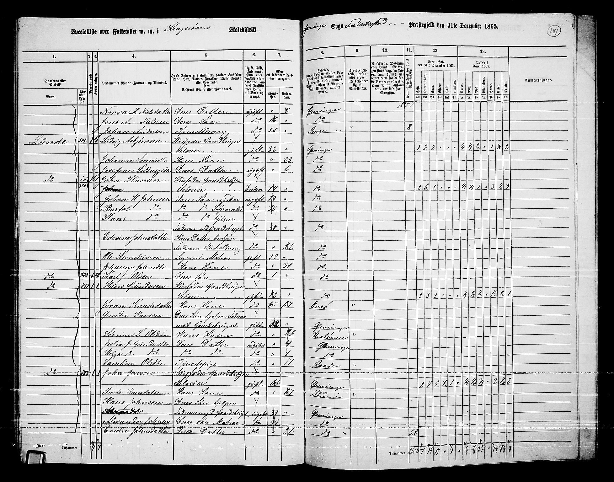 RA, 1865 census for Fredrikstad/Glemmen, 1865, p. 170