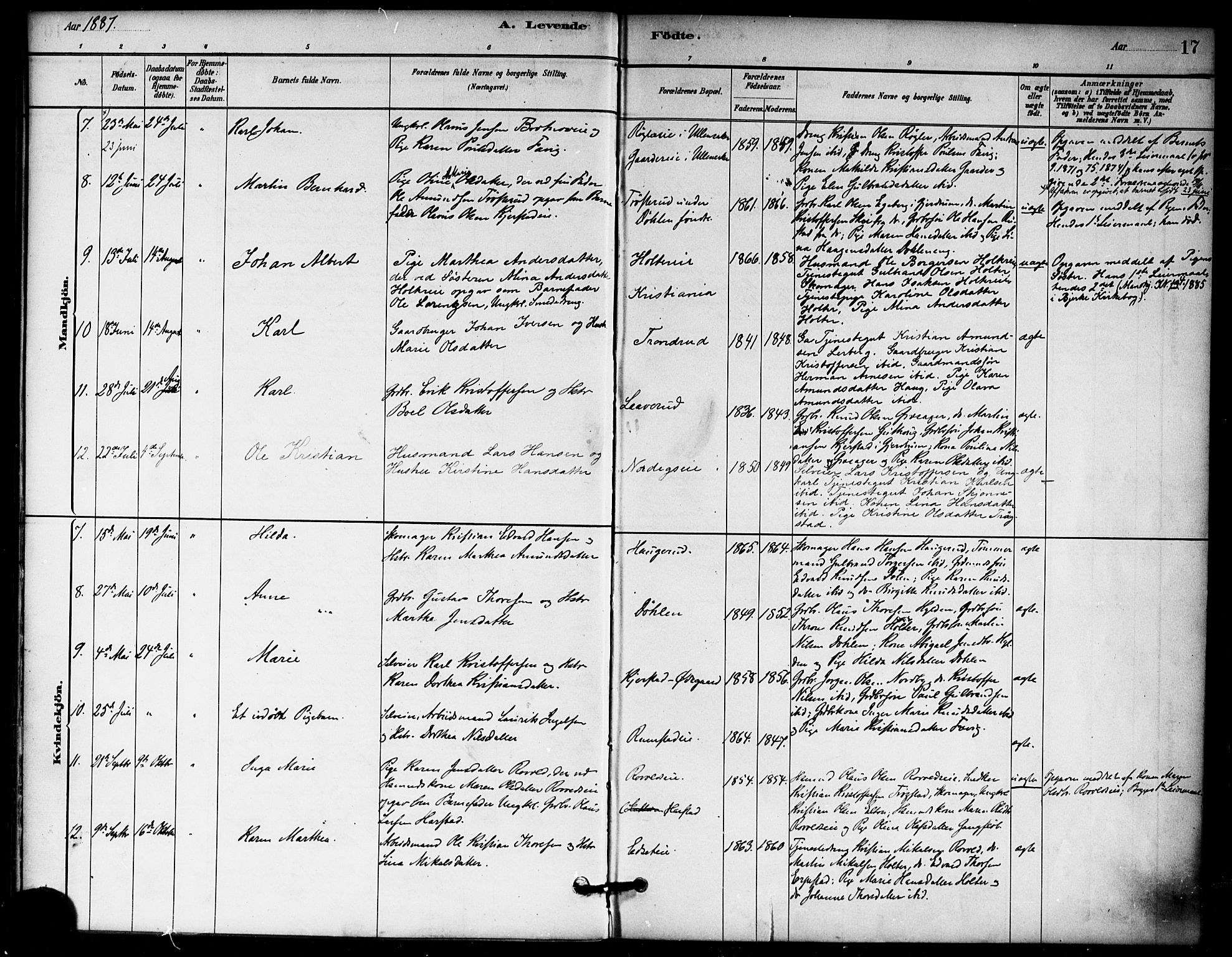 Nannestad prestekontor Kirkebøker, AV/SAO-A-10414a/F/Fb/L0001: Parish register (official) no. II 1, 1881-1890, p. 17